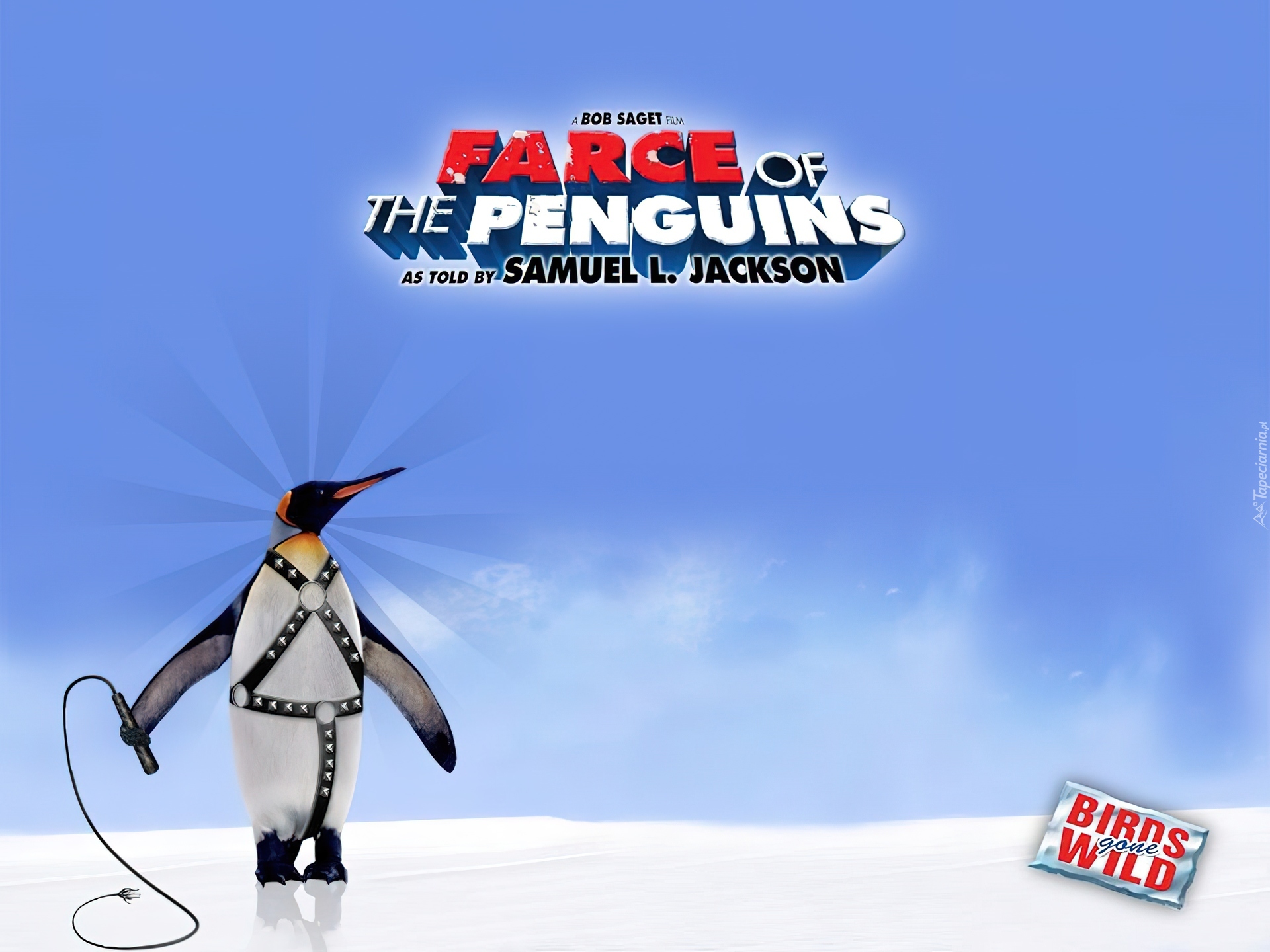 Farce Of The Penguins, pingwin, pejcz