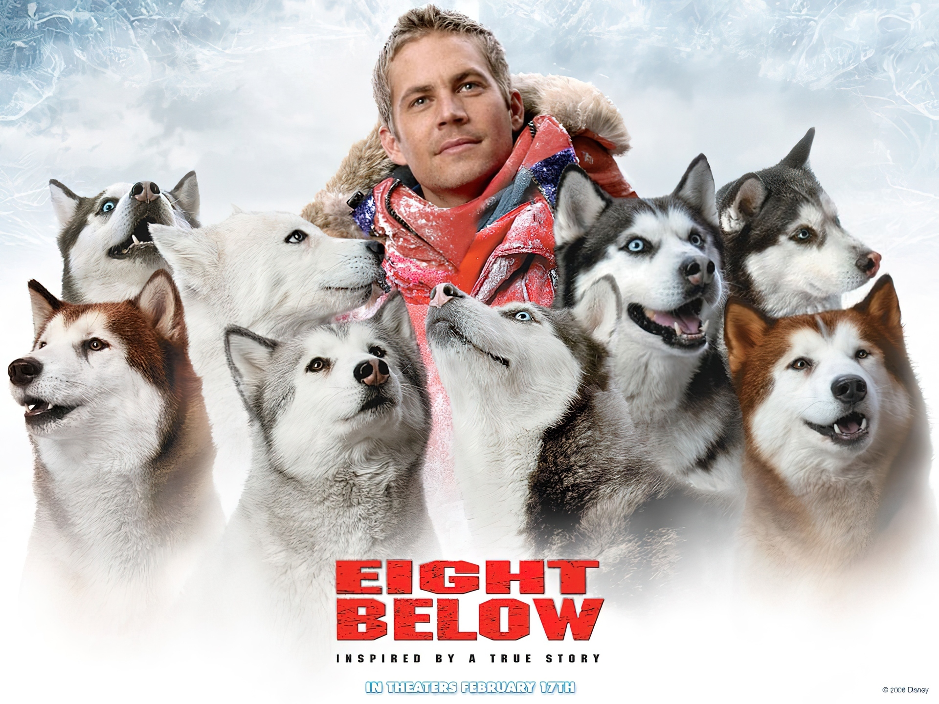 Eight Below, Paul Walker, psy