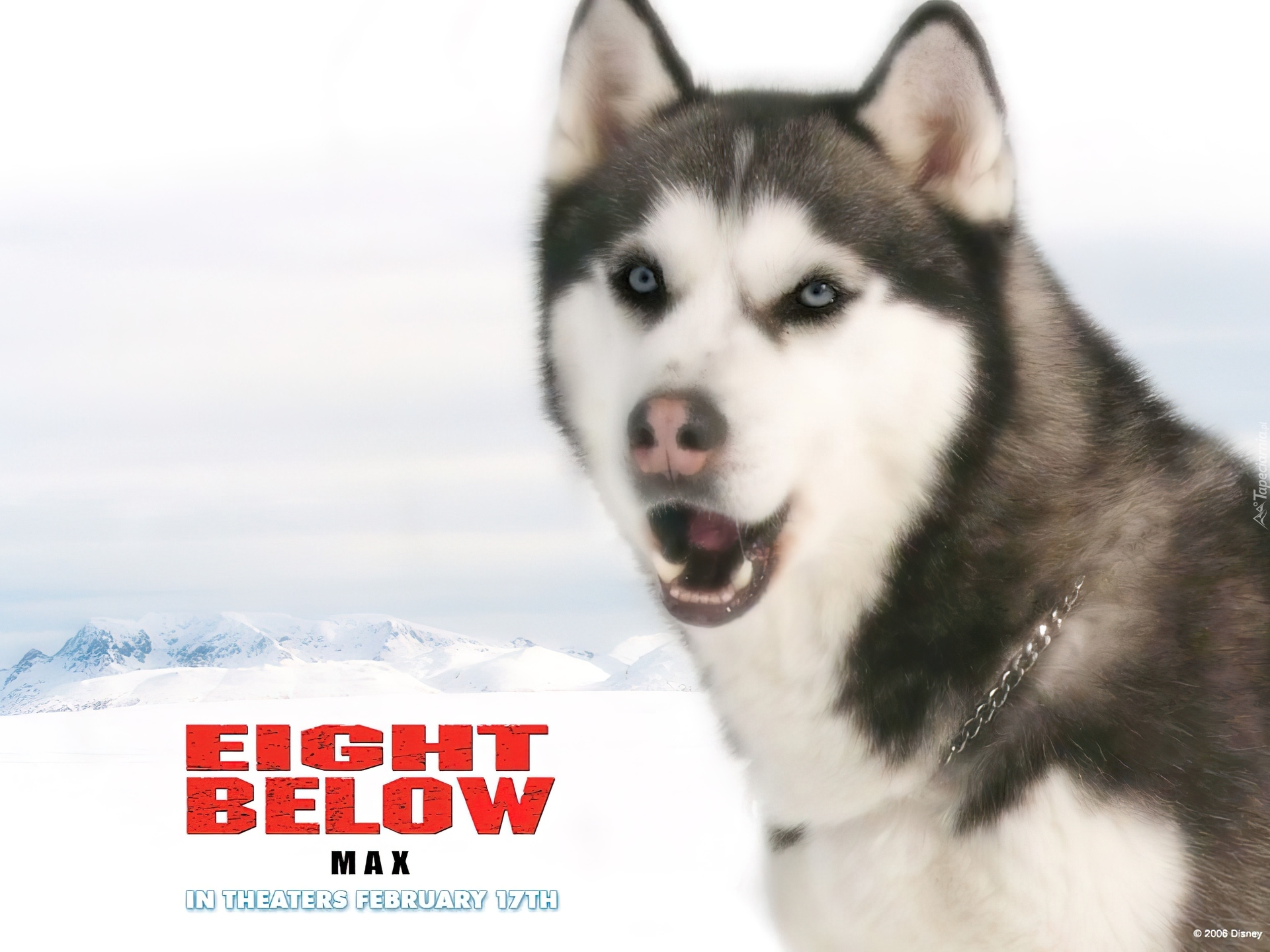 Eight Below, łańcuch, pies