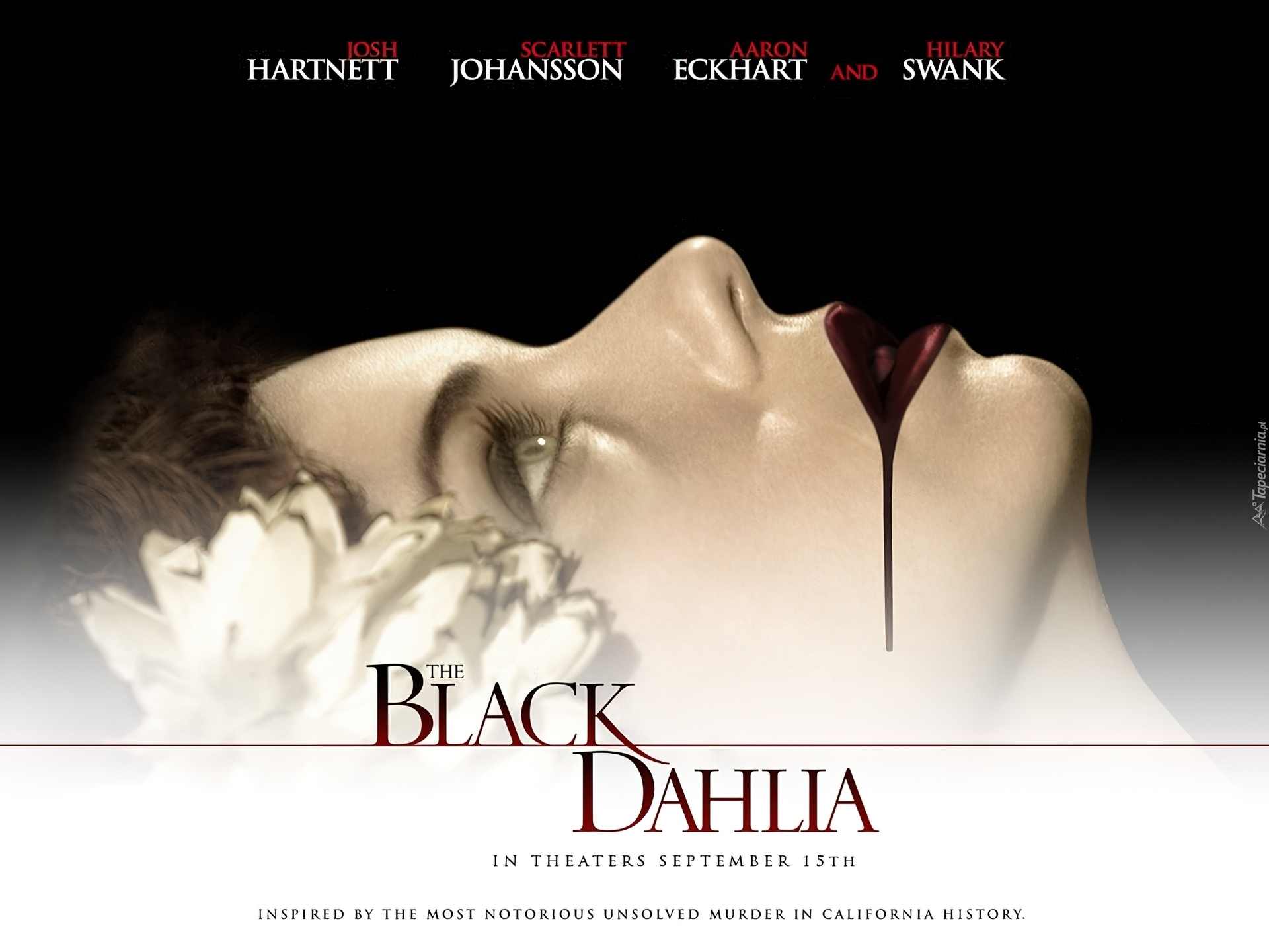 Black Dahlia, twarz, kobiety, szminka