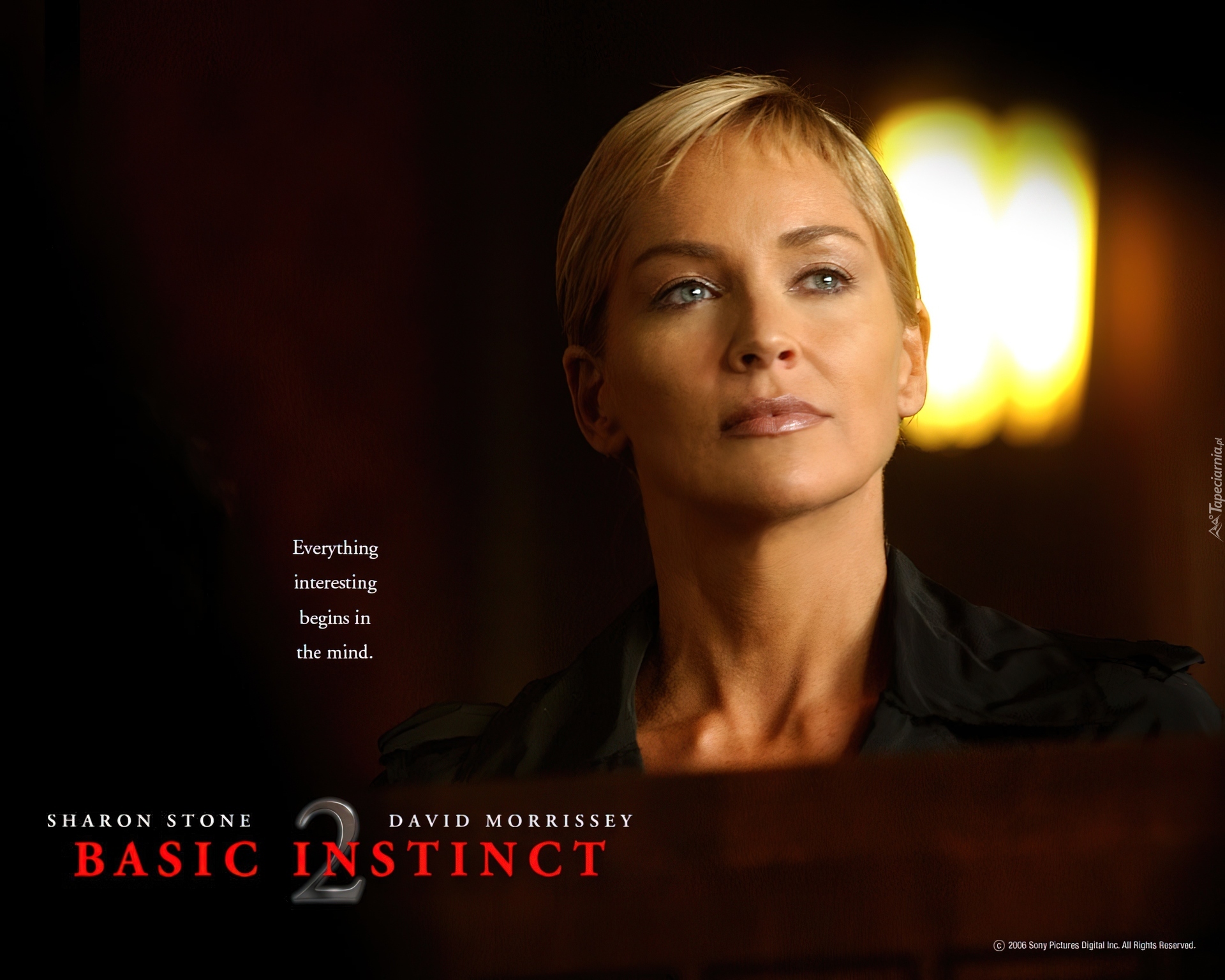 Basic Instinct 2, Sharon Stone