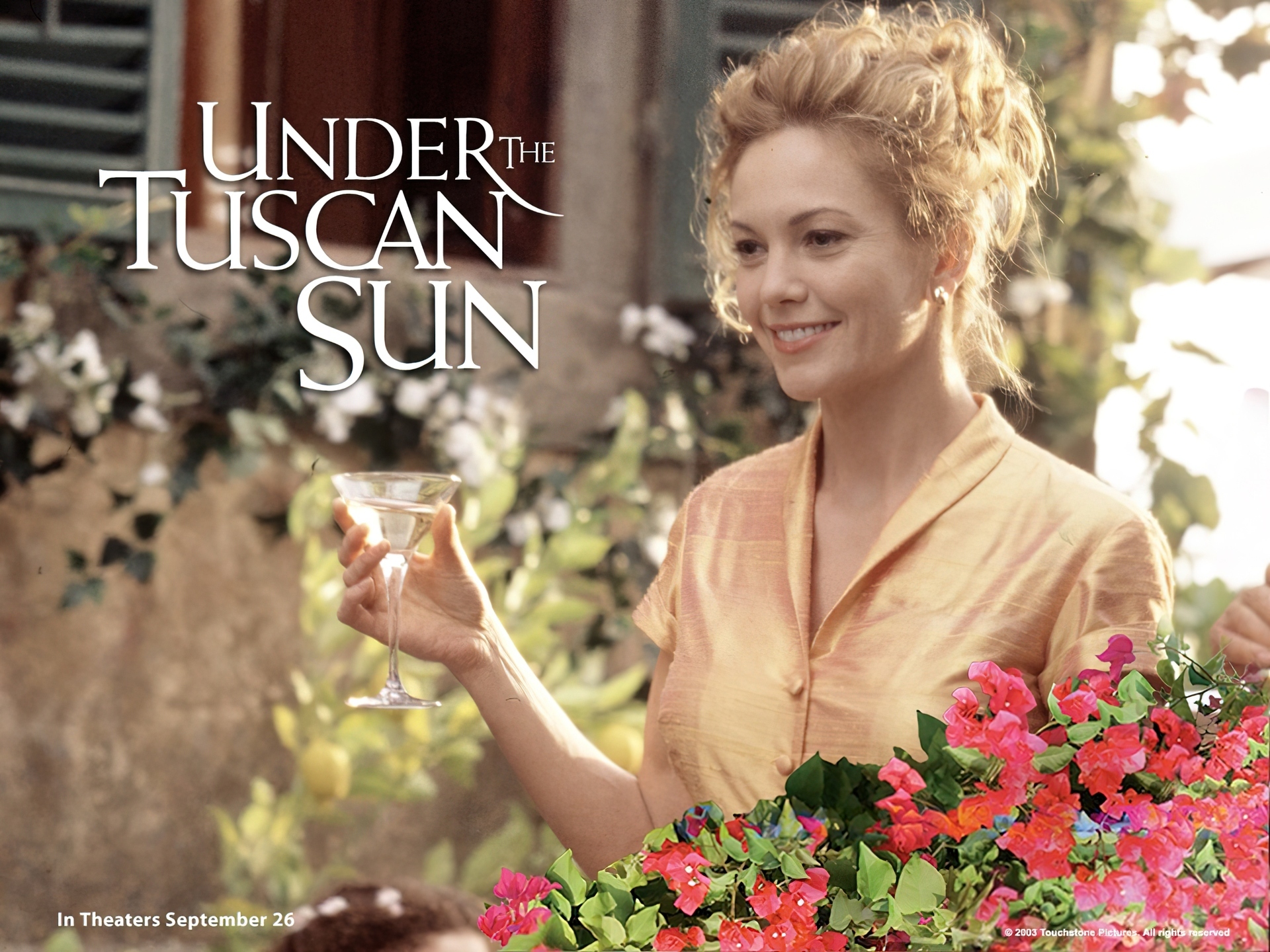 Under The Tuscan Sun, Diane Lane