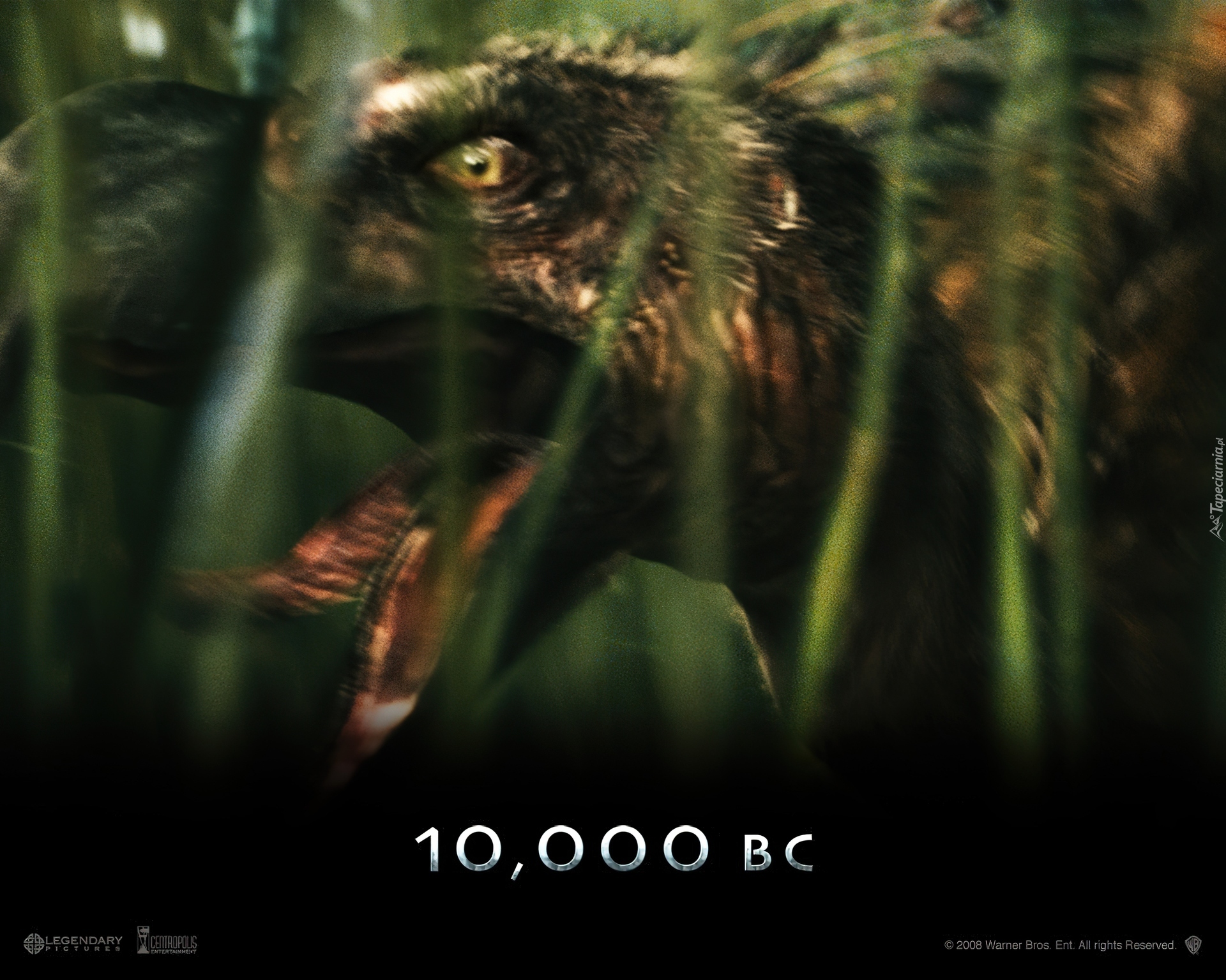 10000 Bc, ptak, język