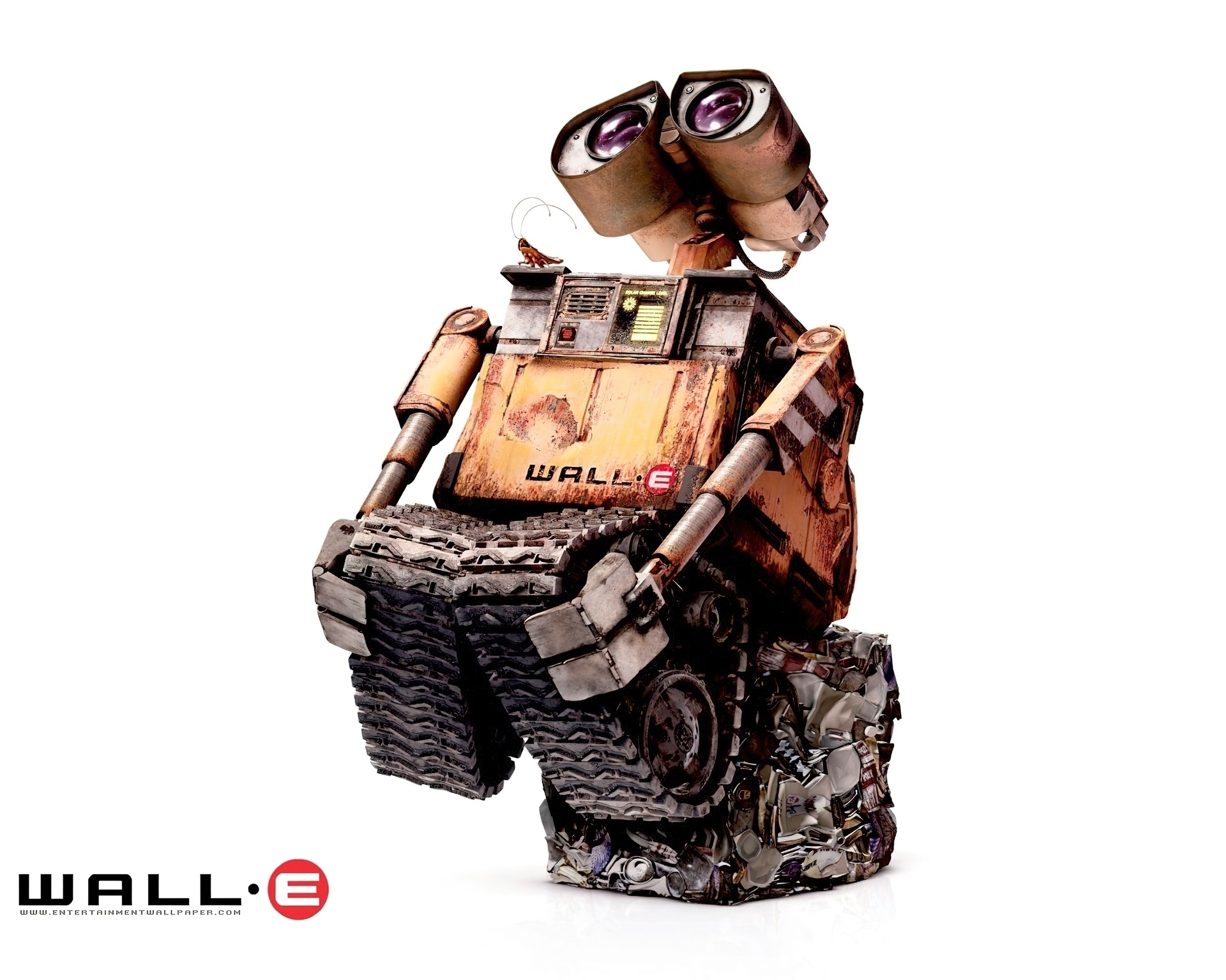 Wall E, smutny, robot, świerszcz