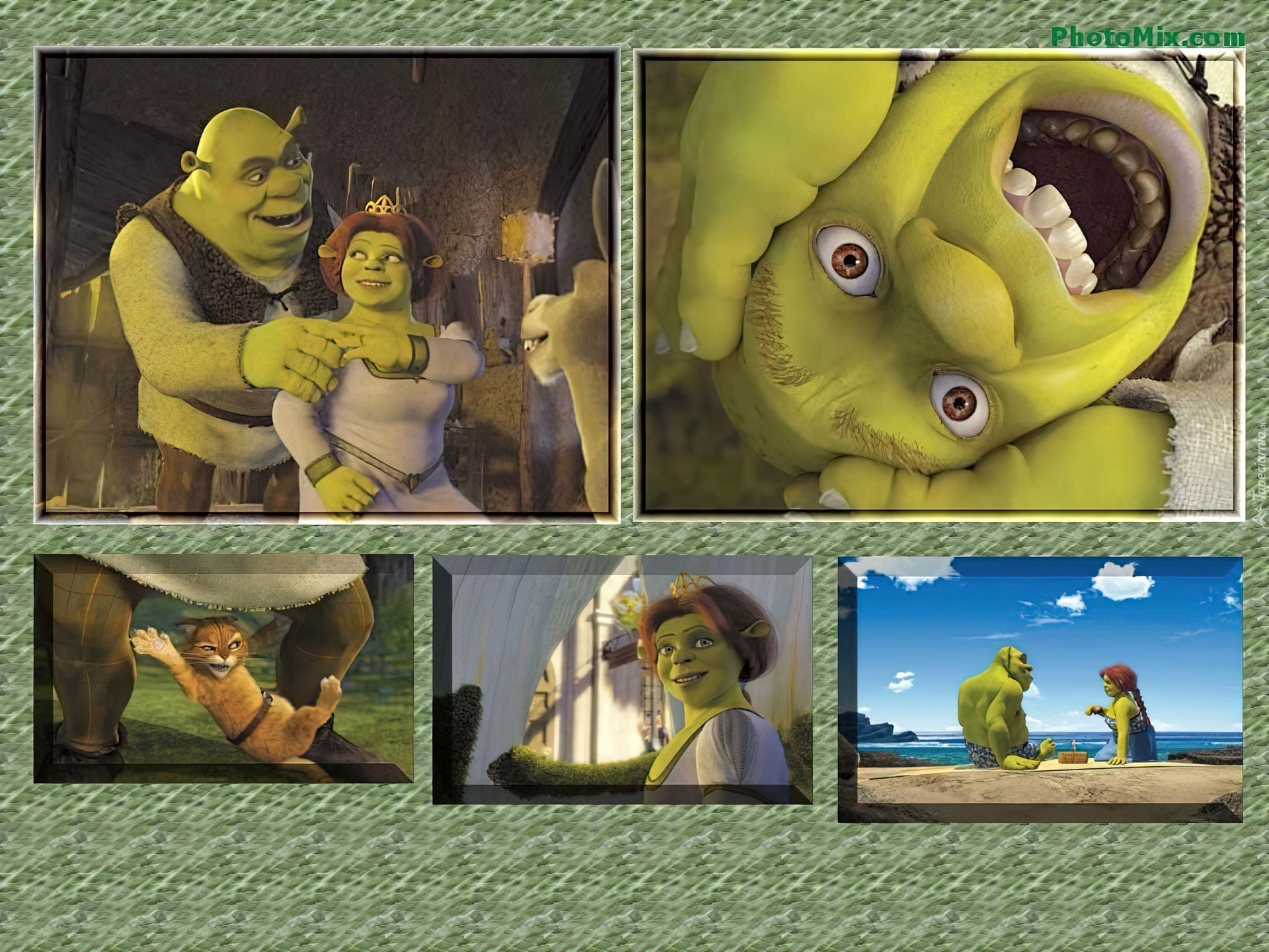zdjęcia, Shrek 2