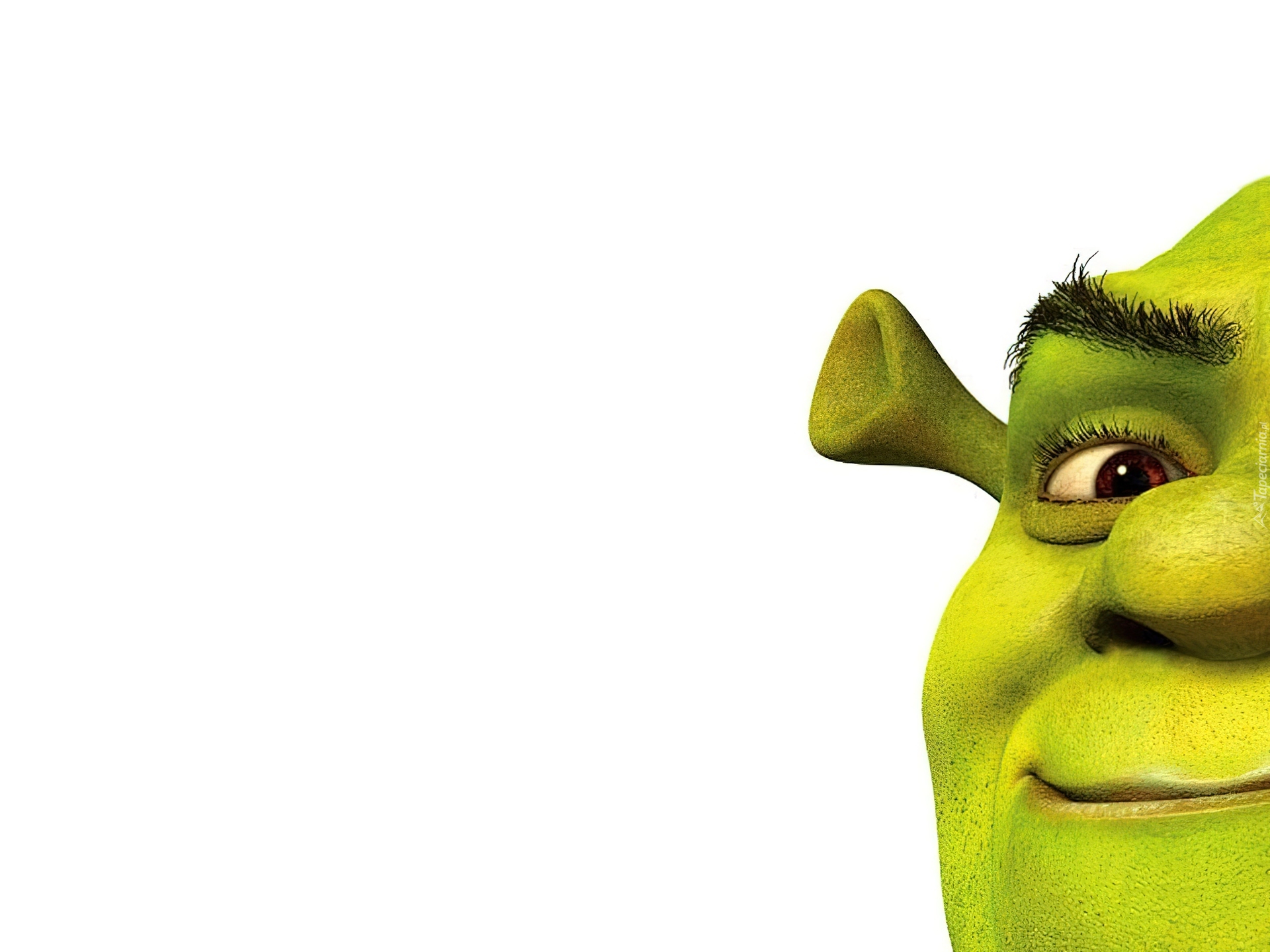 ogr, Shrek 1