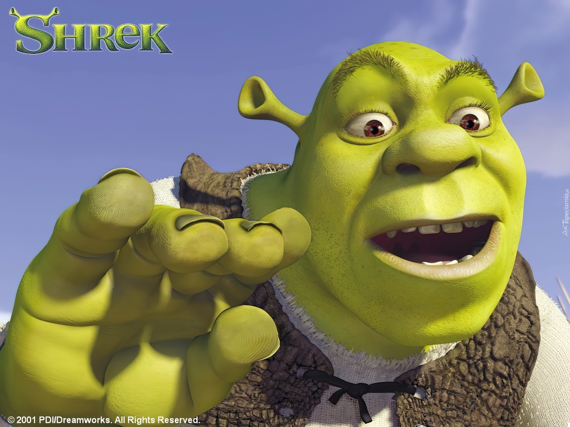 Shrek, dłoń