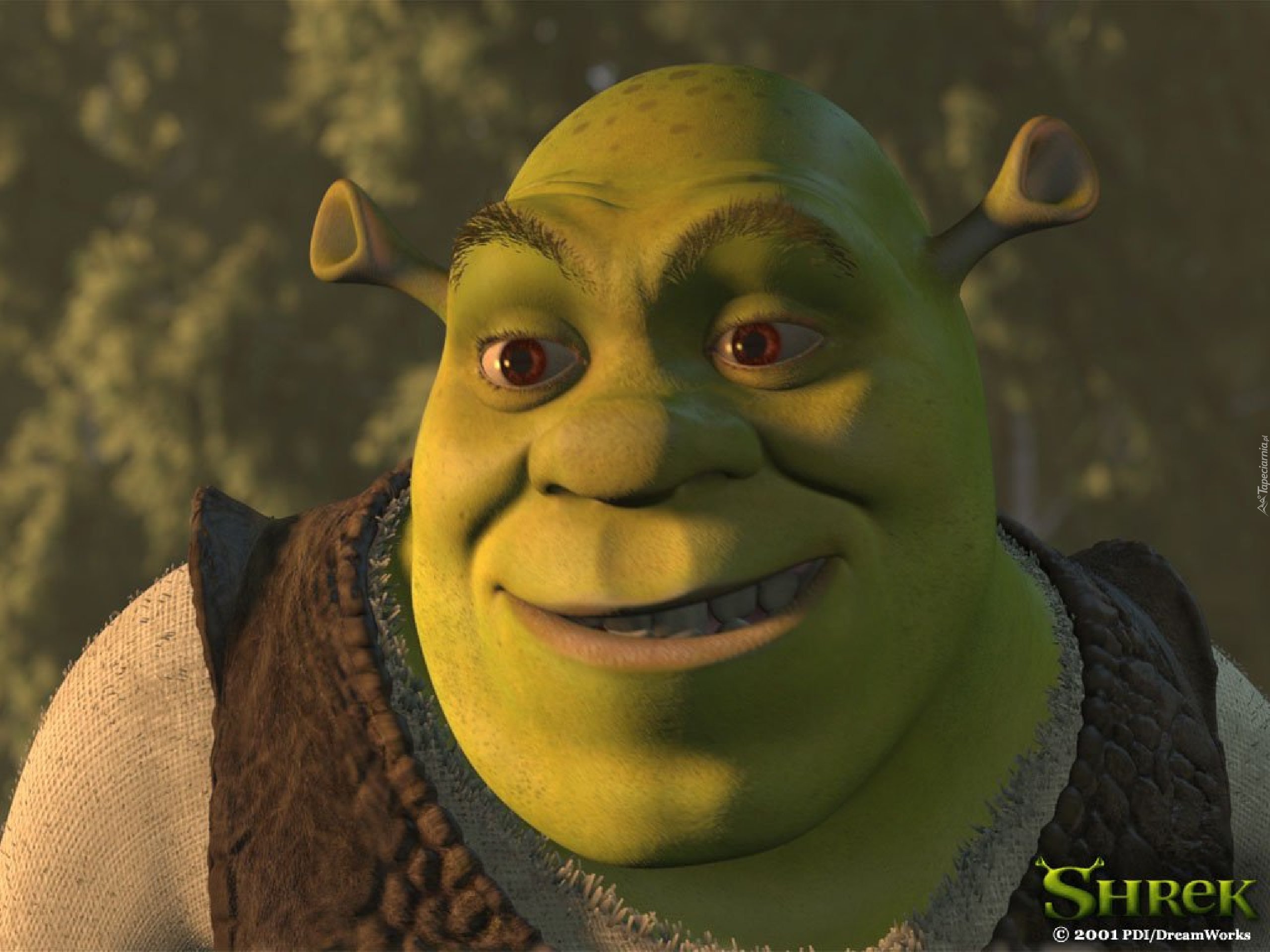 Shrek 1, ogr