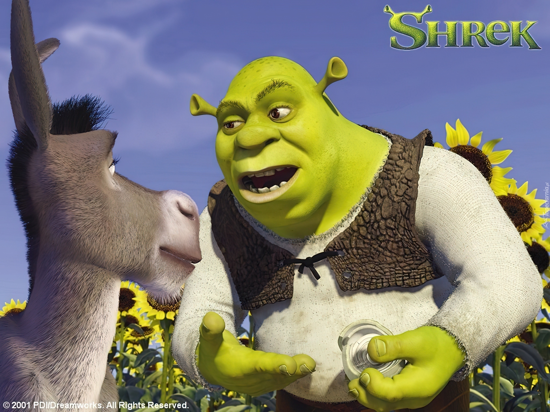 Shrek 1, osioł, Shrek