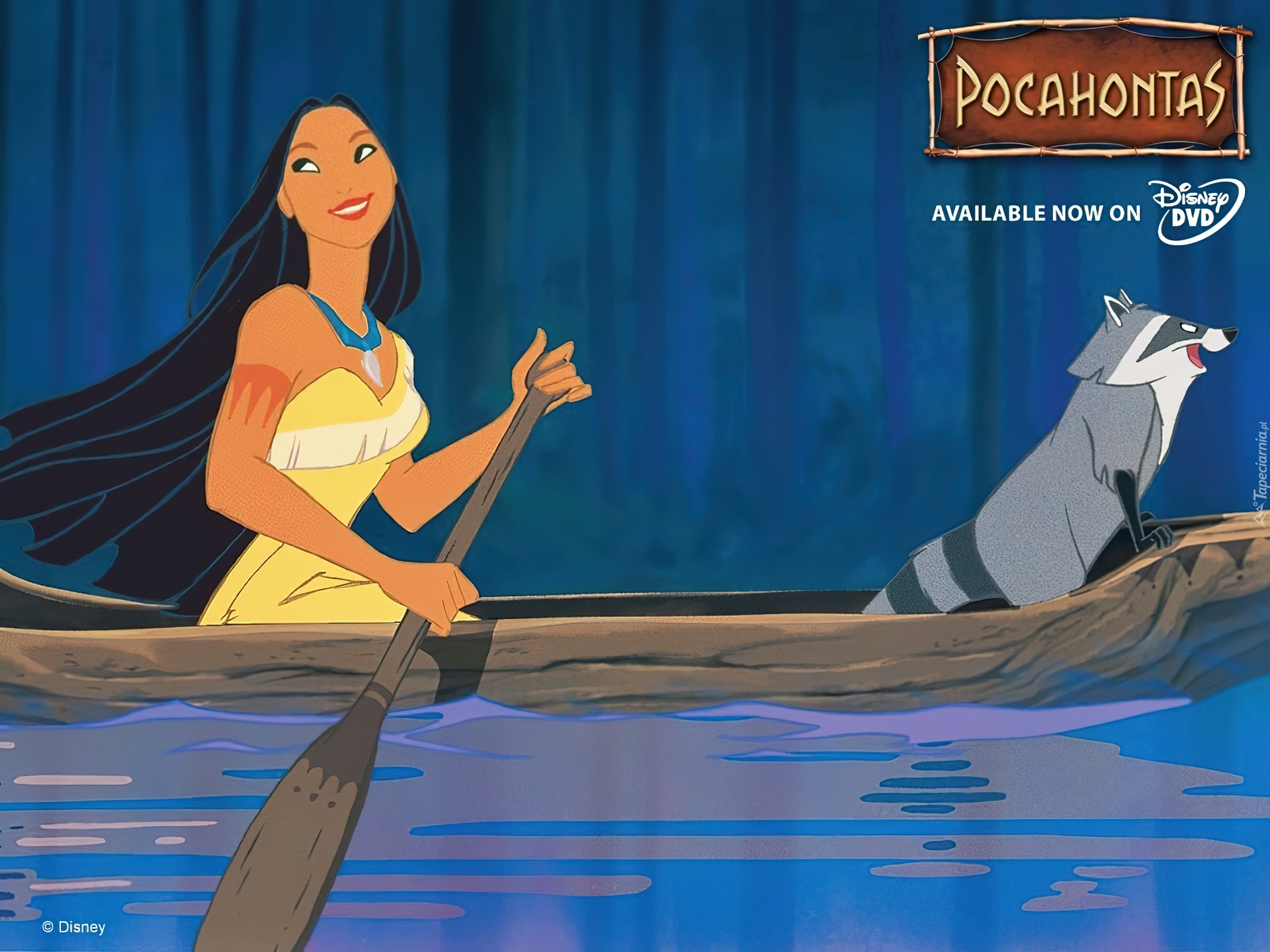 Pocahontas, kajak, szop