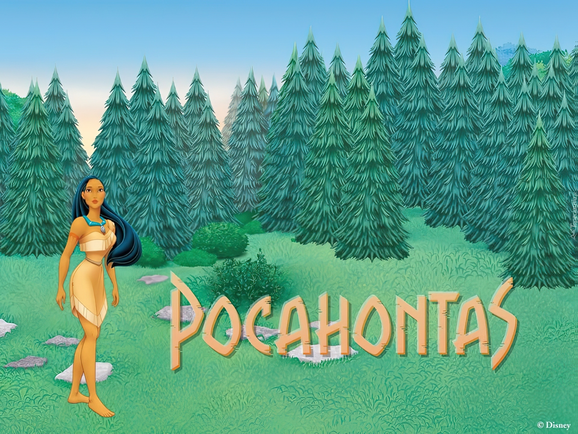 Pocahontas, choinki