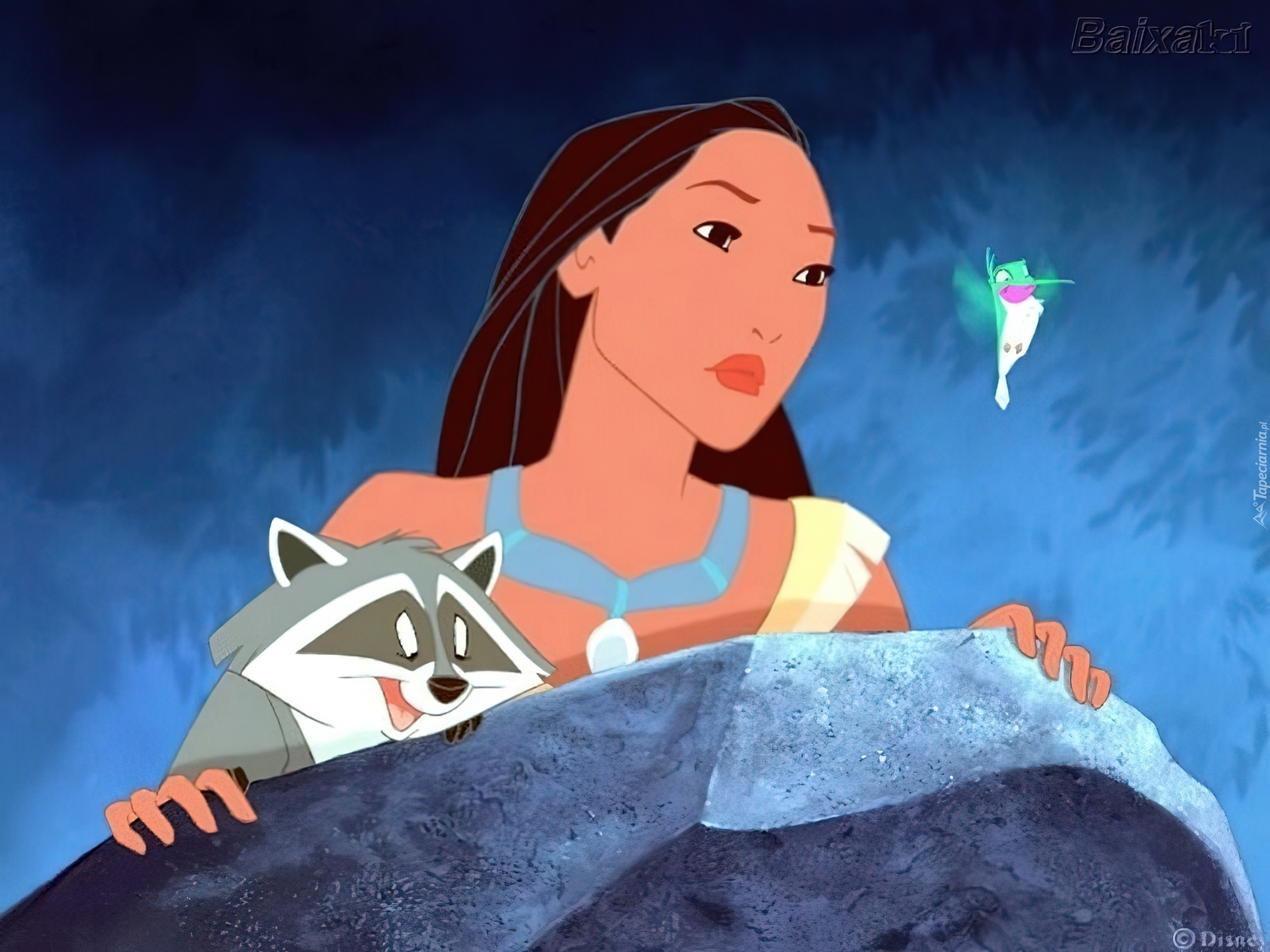 Pocahontas, szop, koliber