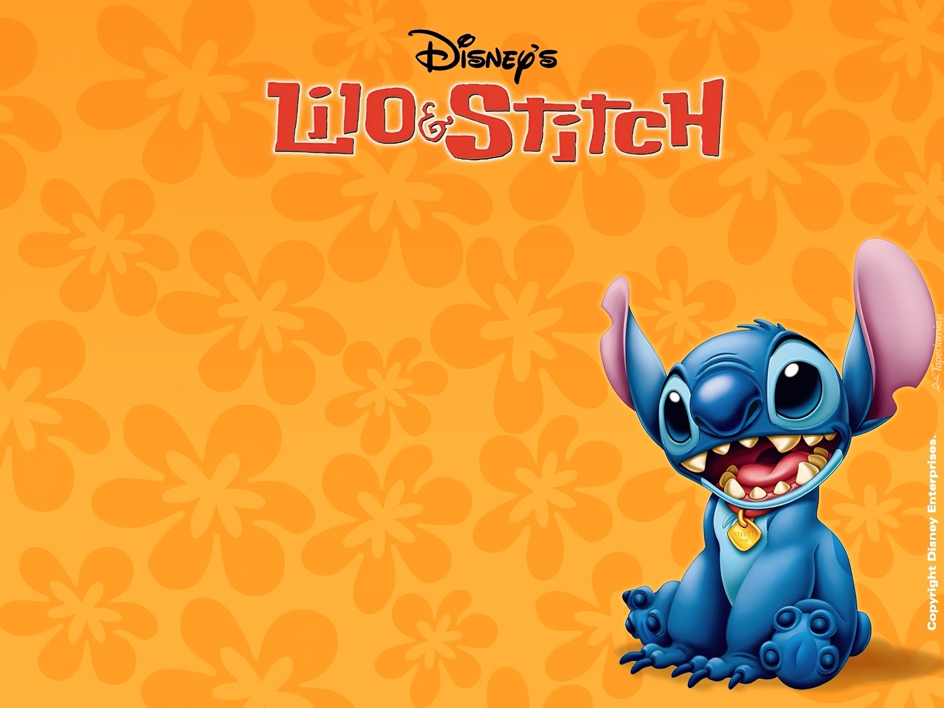 Lilo i Stich, Lilo and Stitch