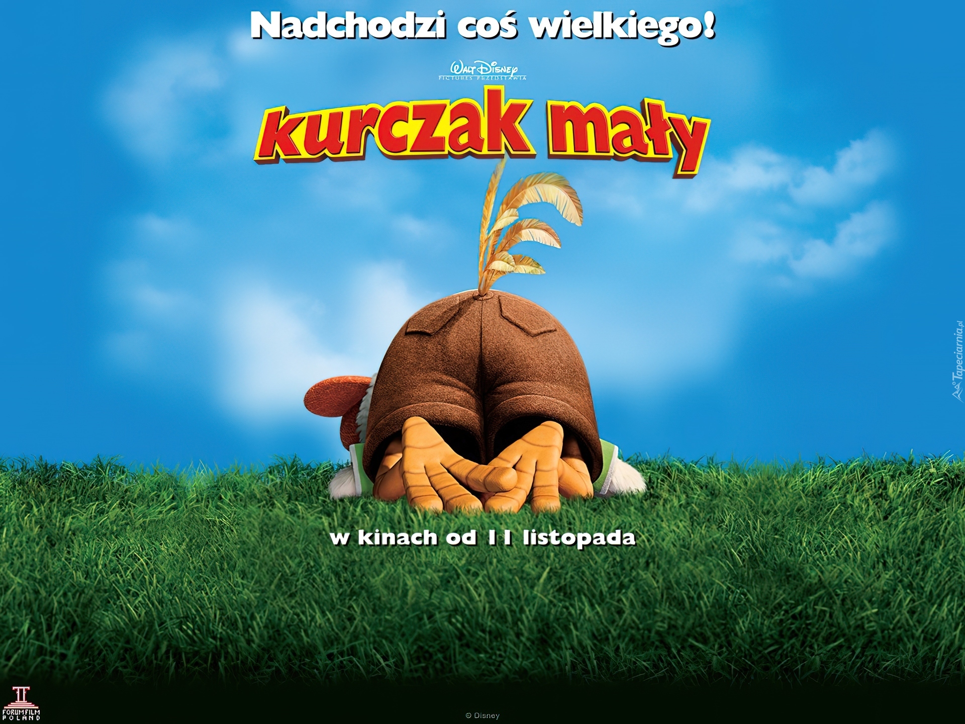 Kurczak Mały, Chicken Little, trawa, kuper