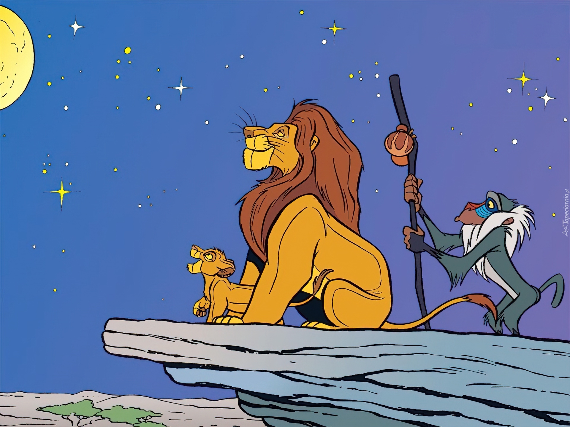 Król Lew, The Lion King, pawian, gwiazdy