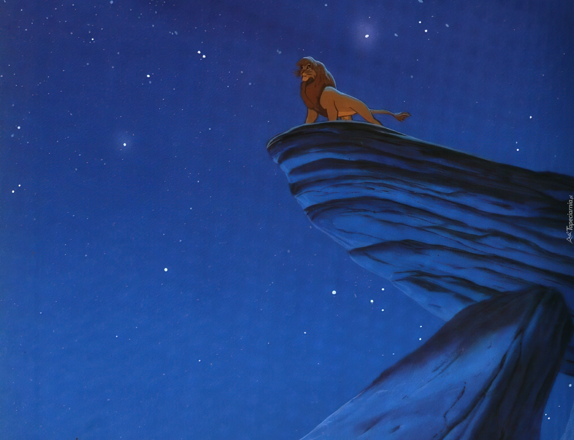 Mufasa, noc, skała, Król Lew, The Lion King