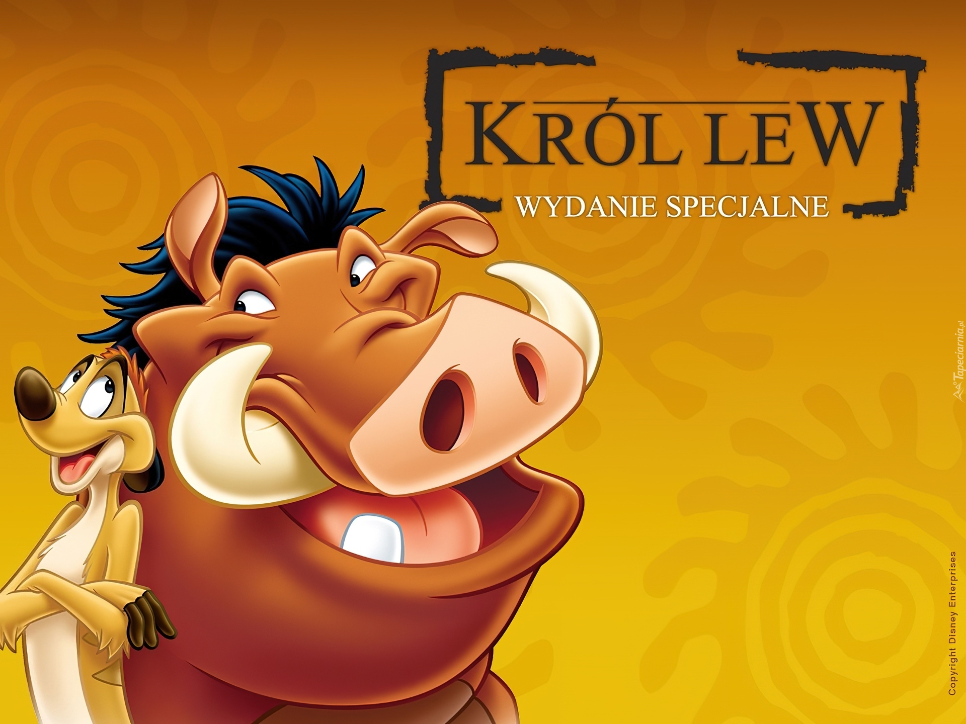 Król Lew, The Lion King, Timon, Pumba