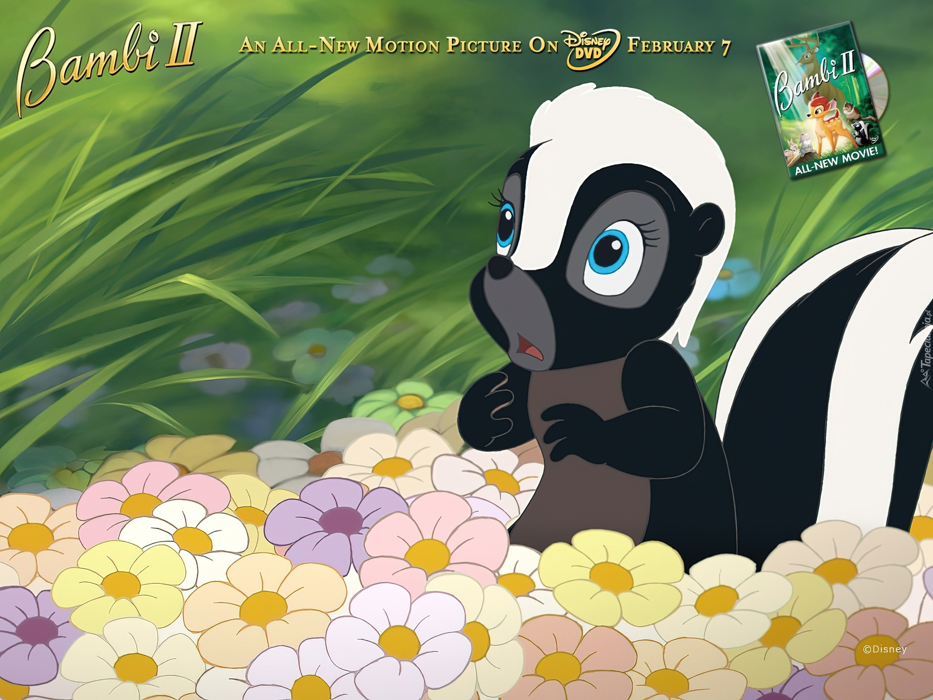 Skunks, Film animowany, Bambi 2