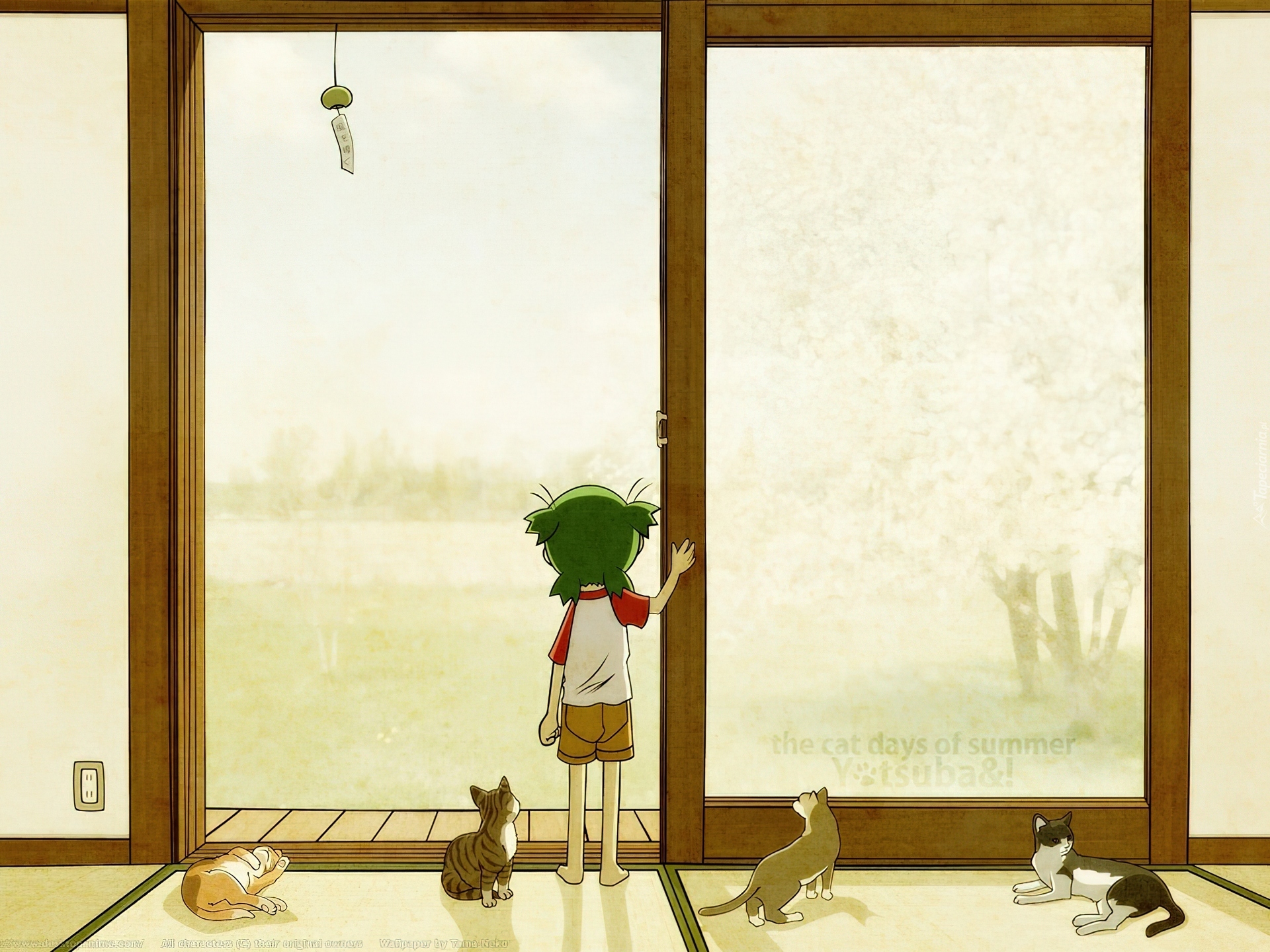 szklane, drzwi, koty, Yotsubato