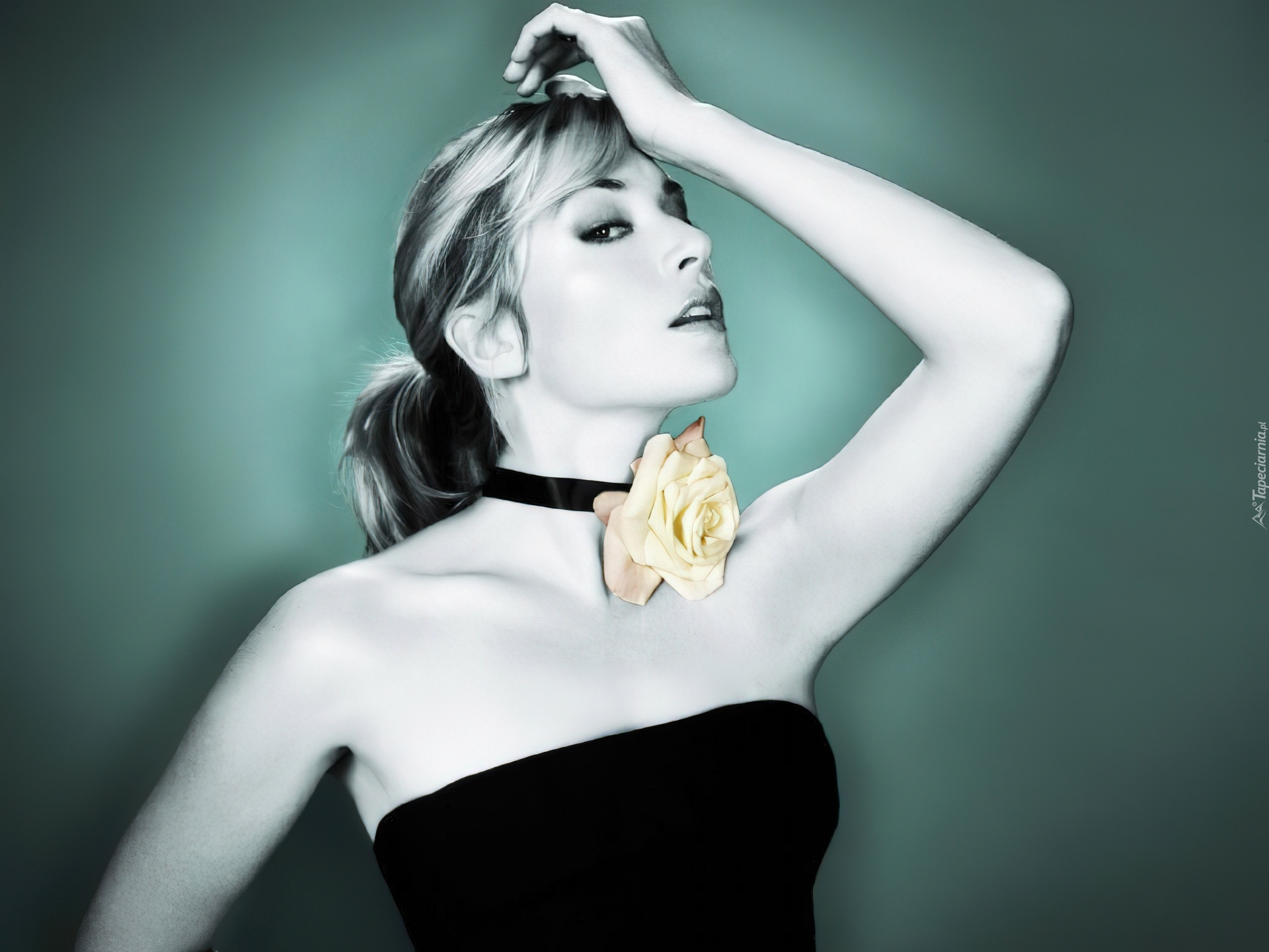 kobieca, Kate Winslet, różyczka
