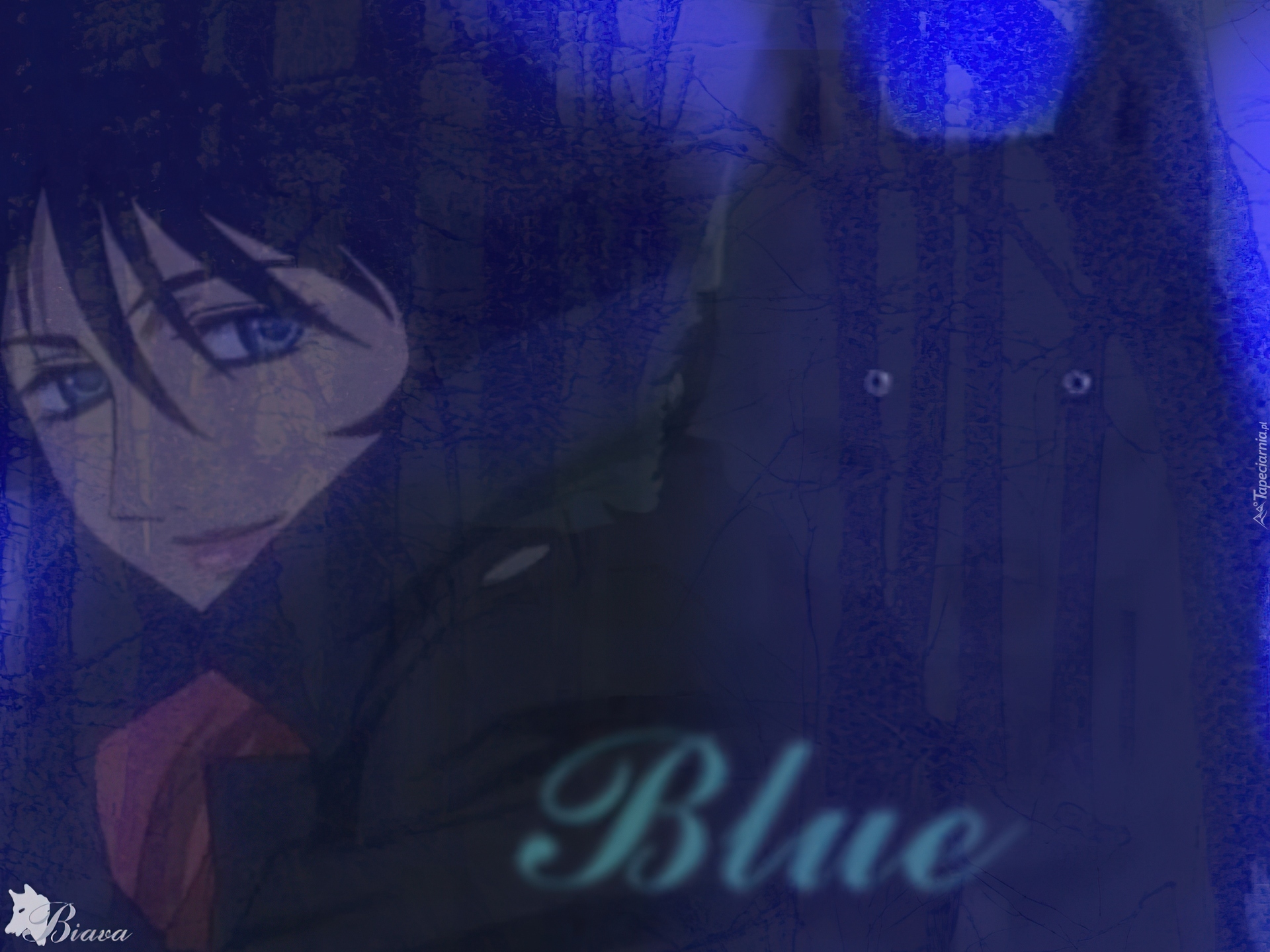 Blue, Wilk, Wolfs Rain