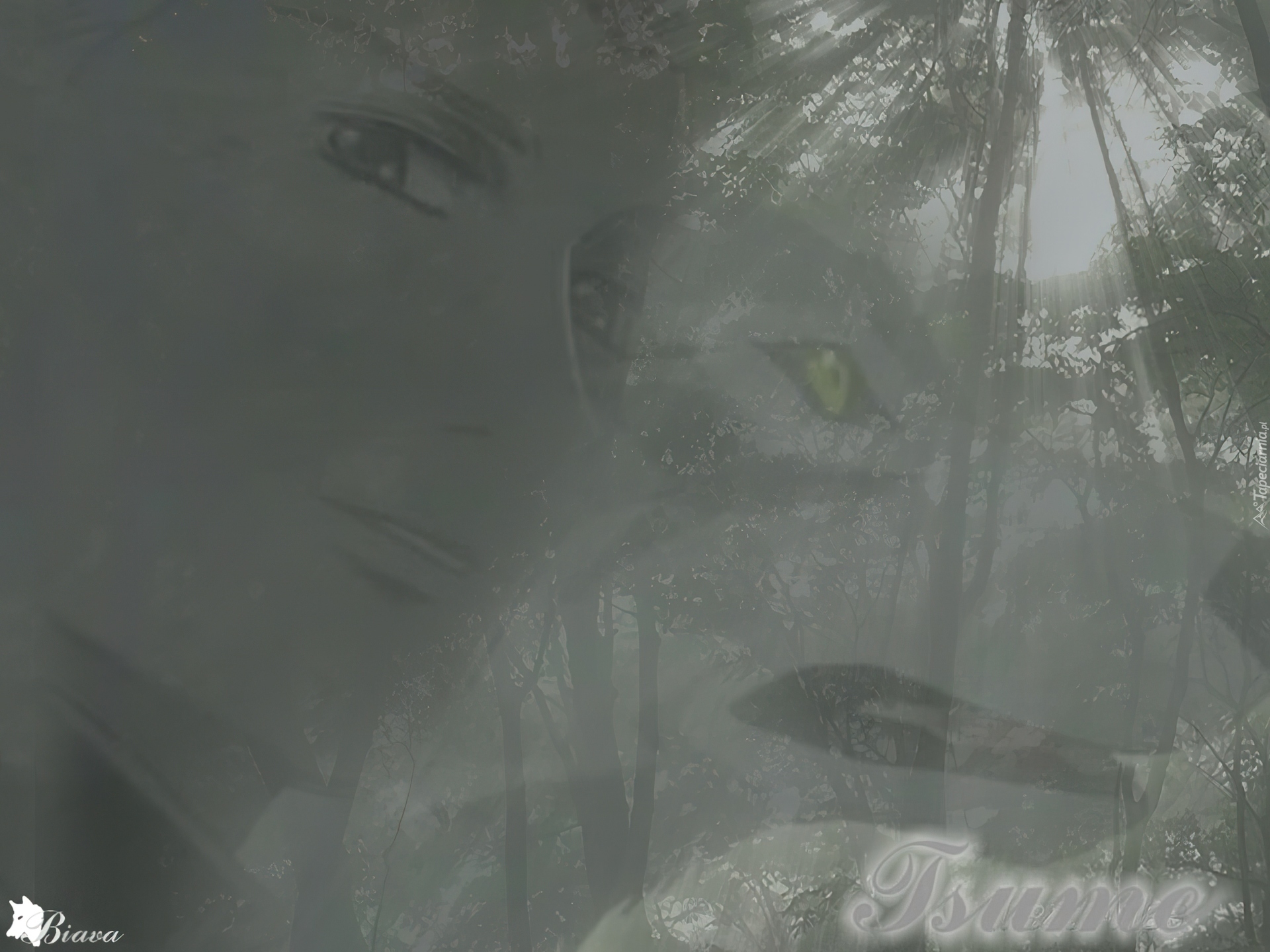 Wolfs Rain, las, wilk, twarz