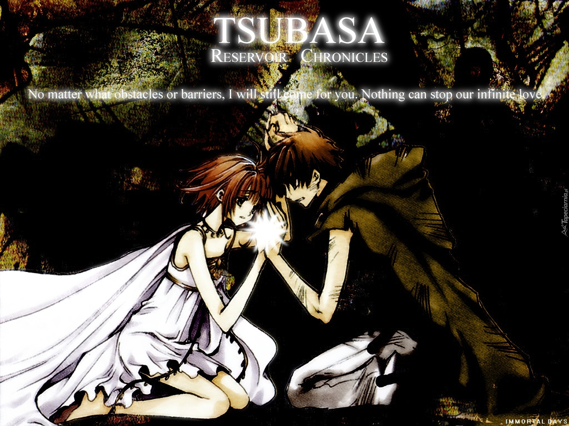 Tsubasa Reservoir Chronicles, zakochani, napis