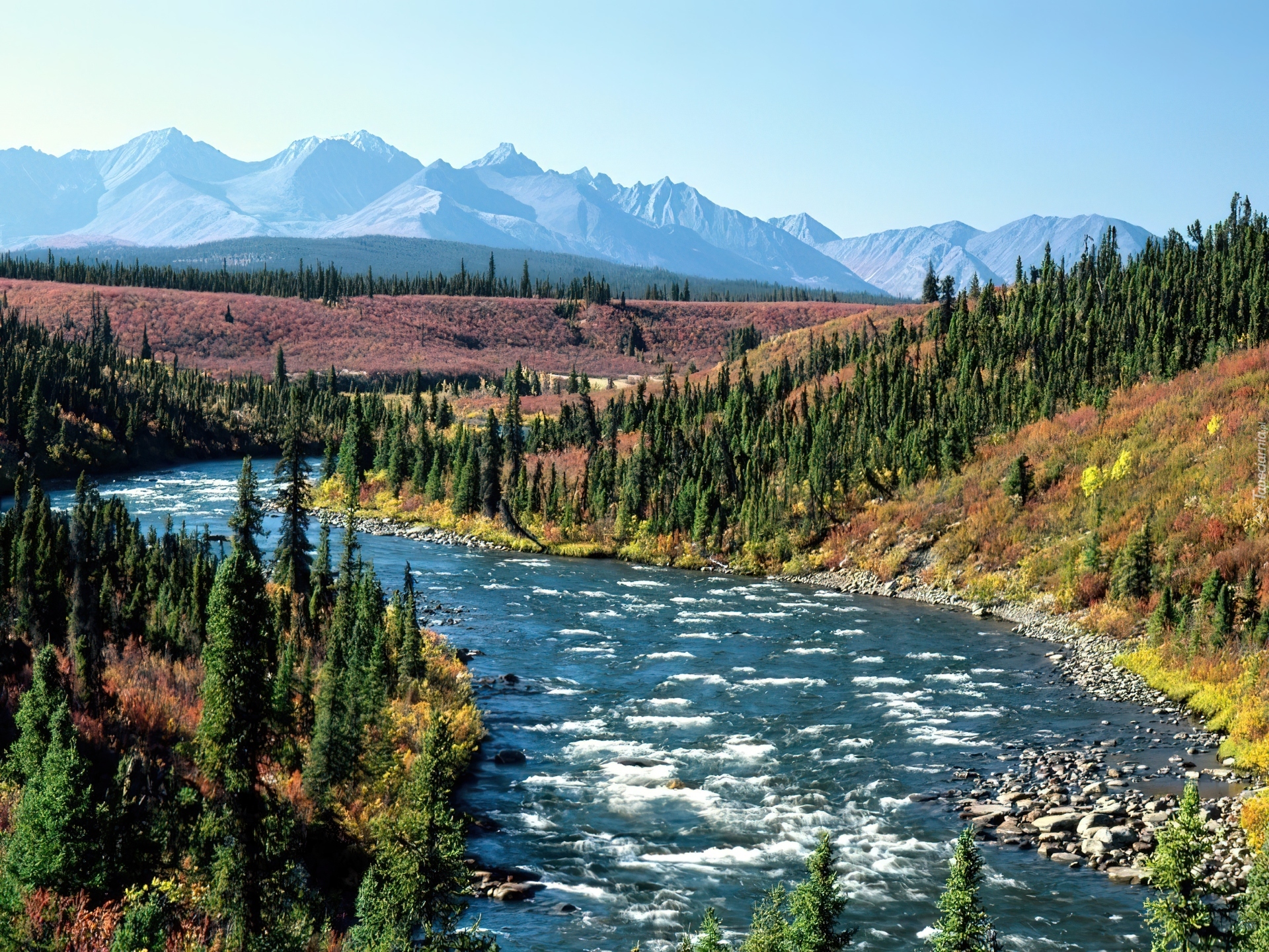 Какие крупные реки в канаде. Река Юкон Аляска. Штат Юкон Канада. Провинция Юкон Канада. Река Юкон Северная Америка.
