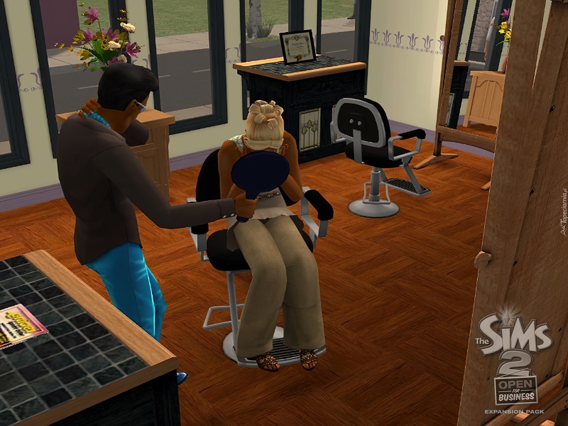 The Sims 2, Open Business