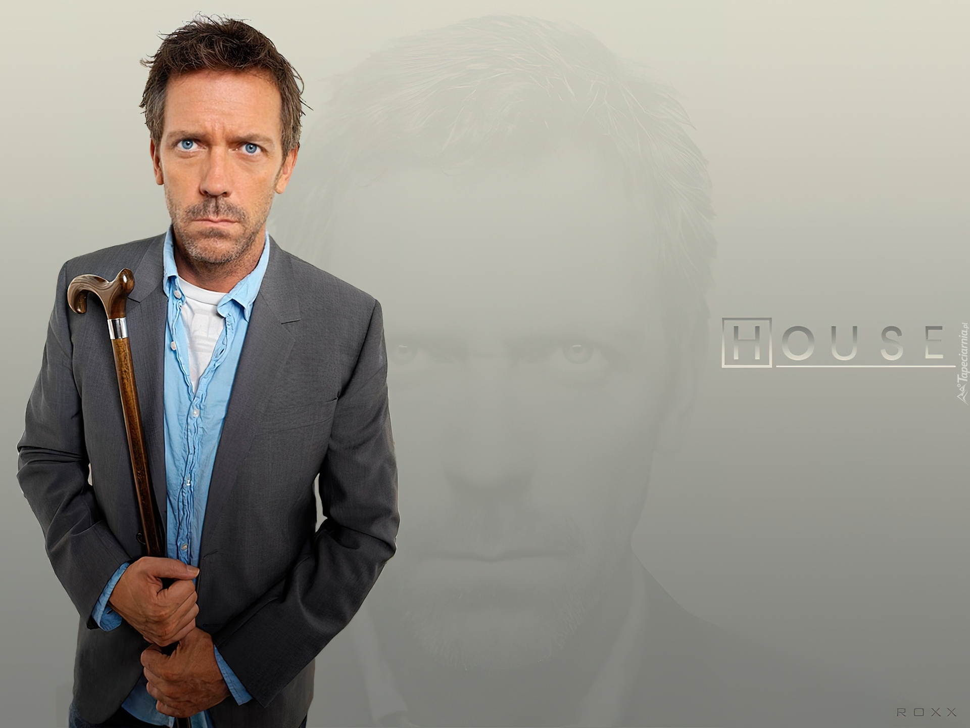 Hugh Lauriego, Laska, Dr. House