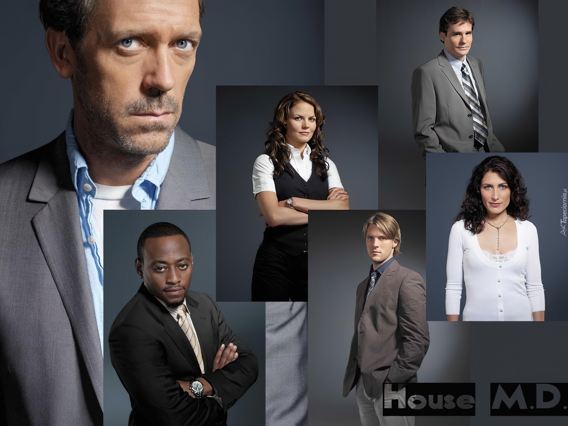 Dr. House, Aktorzy, Hugh Laurie