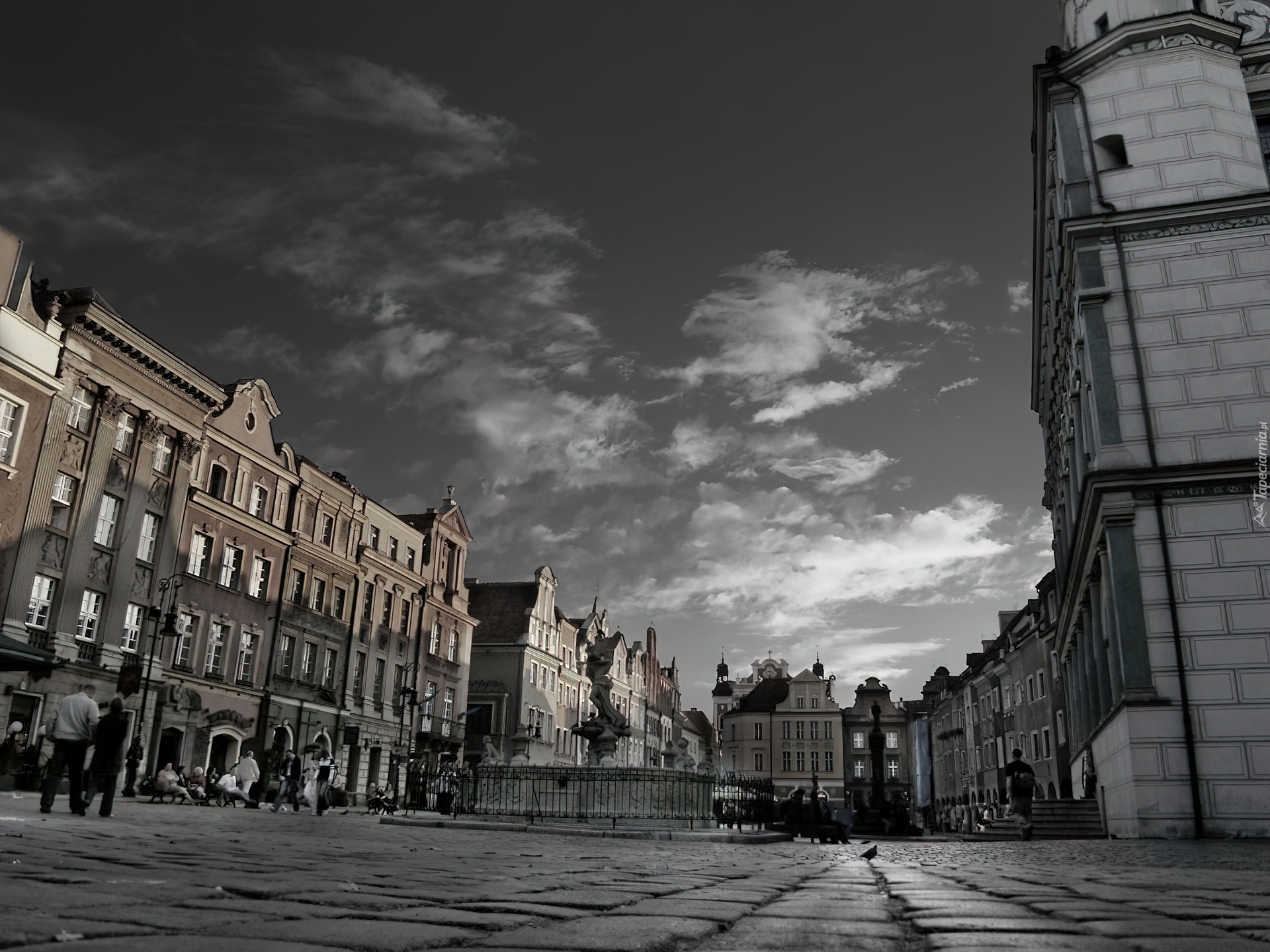 Poznań, Rynek