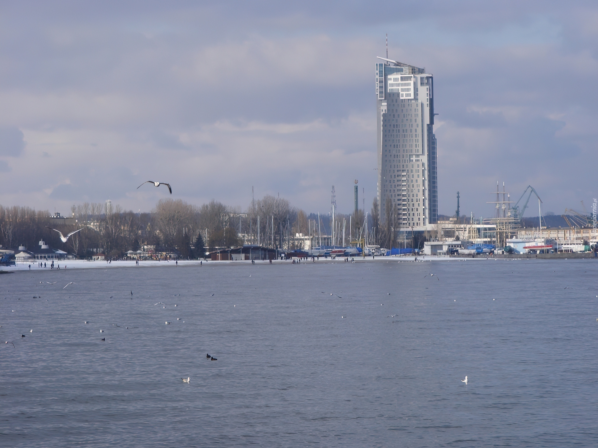 Gdynia, See Tower