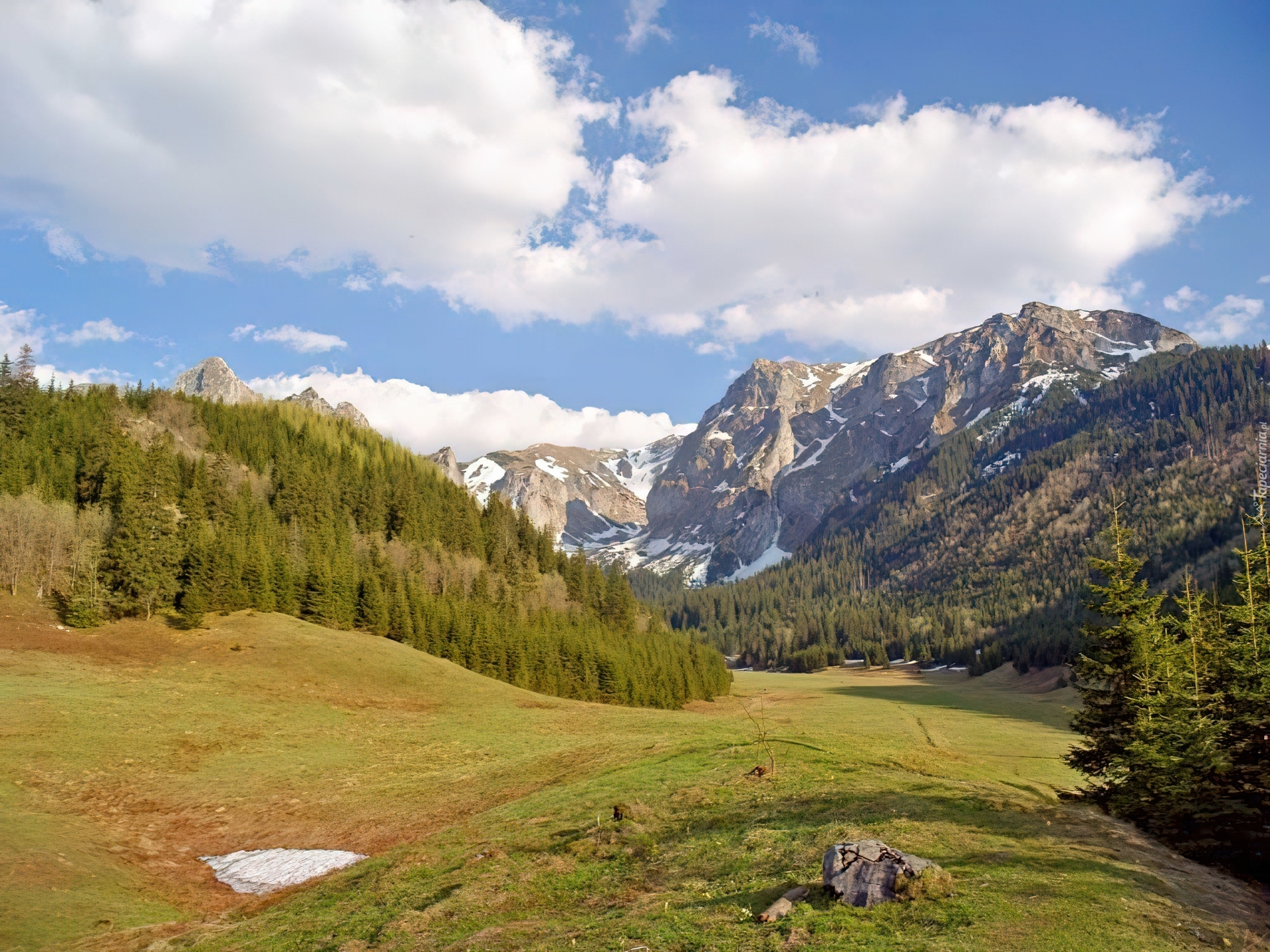 Zakopane, Góry, Łąka