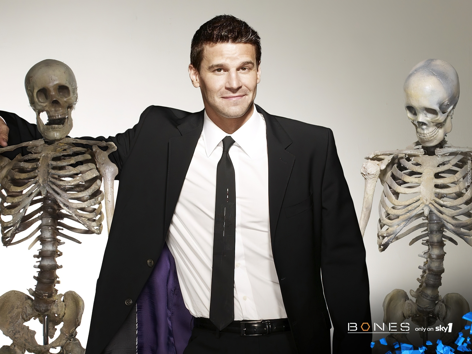 Serial, Bones, Kości, Szkielety, David Boreanaz