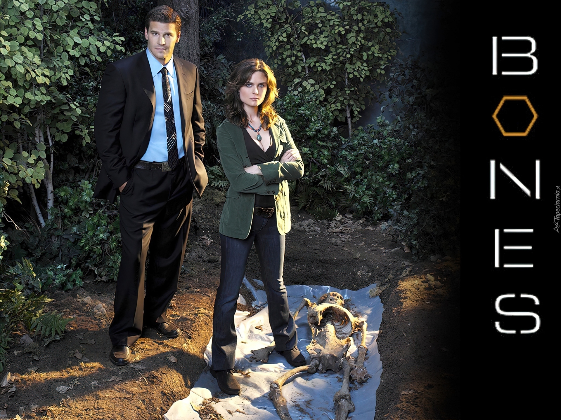 Serial, Bones, Kości, David Boreanaz, Emily Deschanel