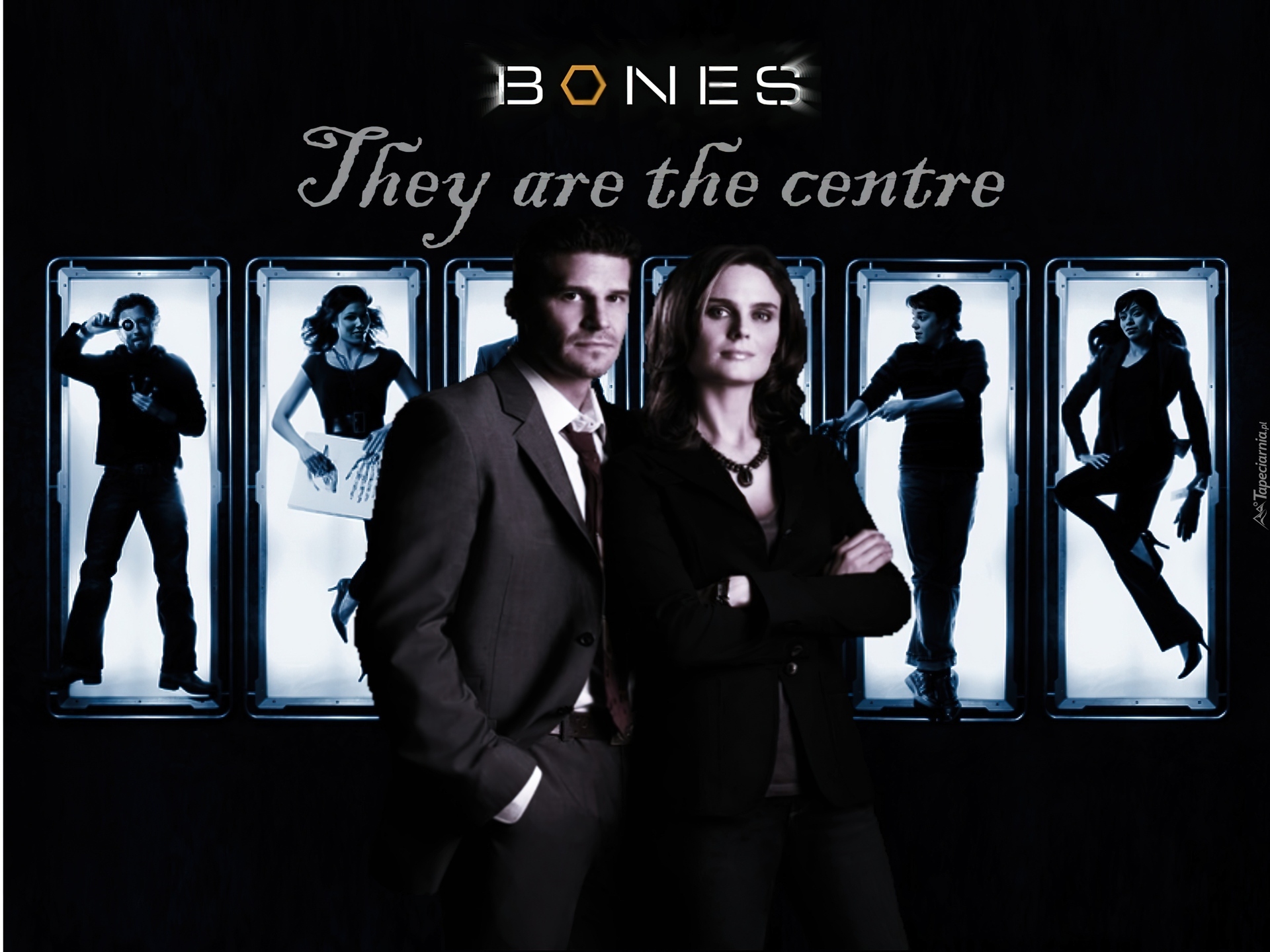 Serial, Bones, Kości, Aktorzy