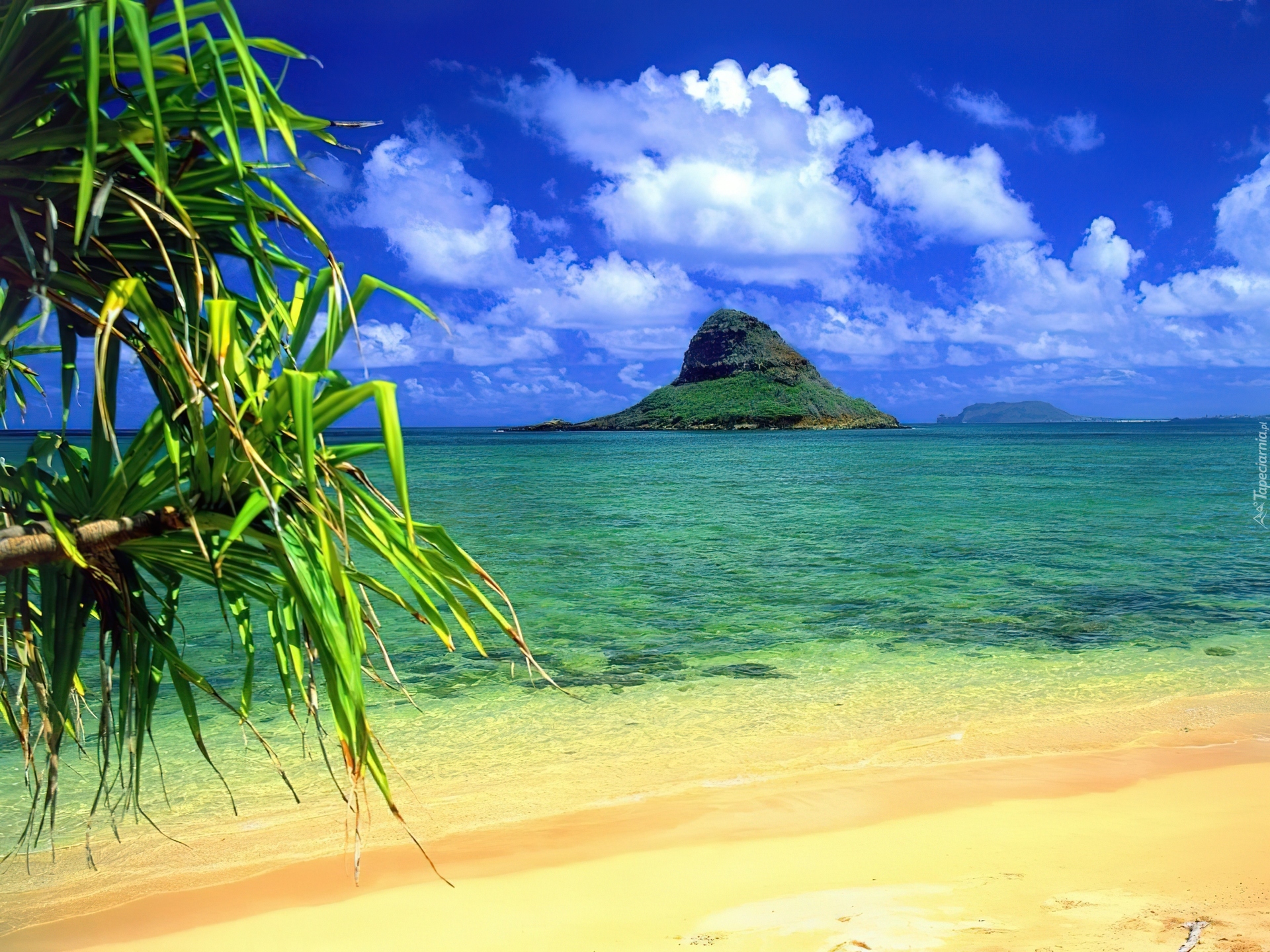 Hawaje, Wyspa, Morze
