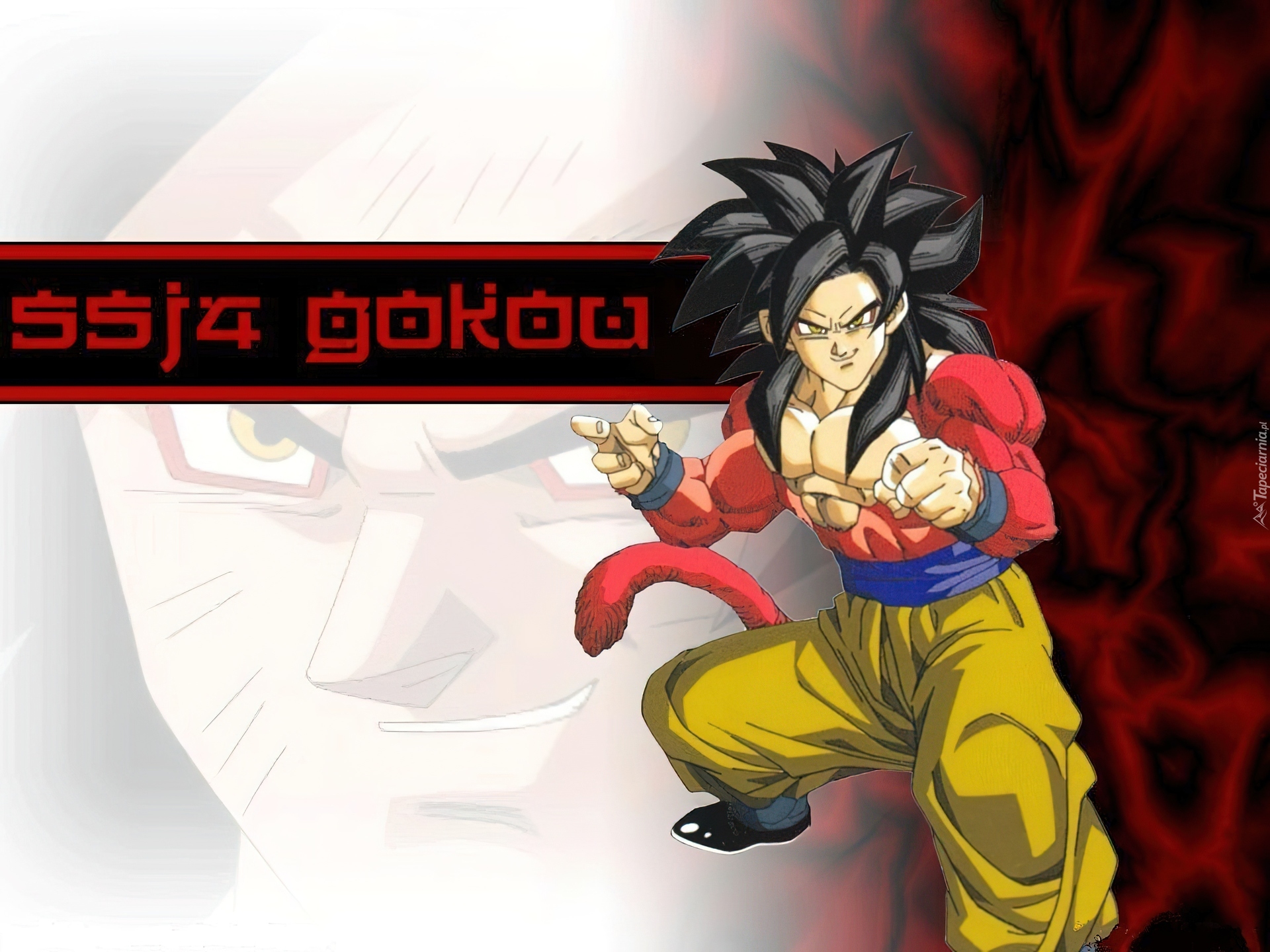 Dragon Ball, SSJ4 Gokou