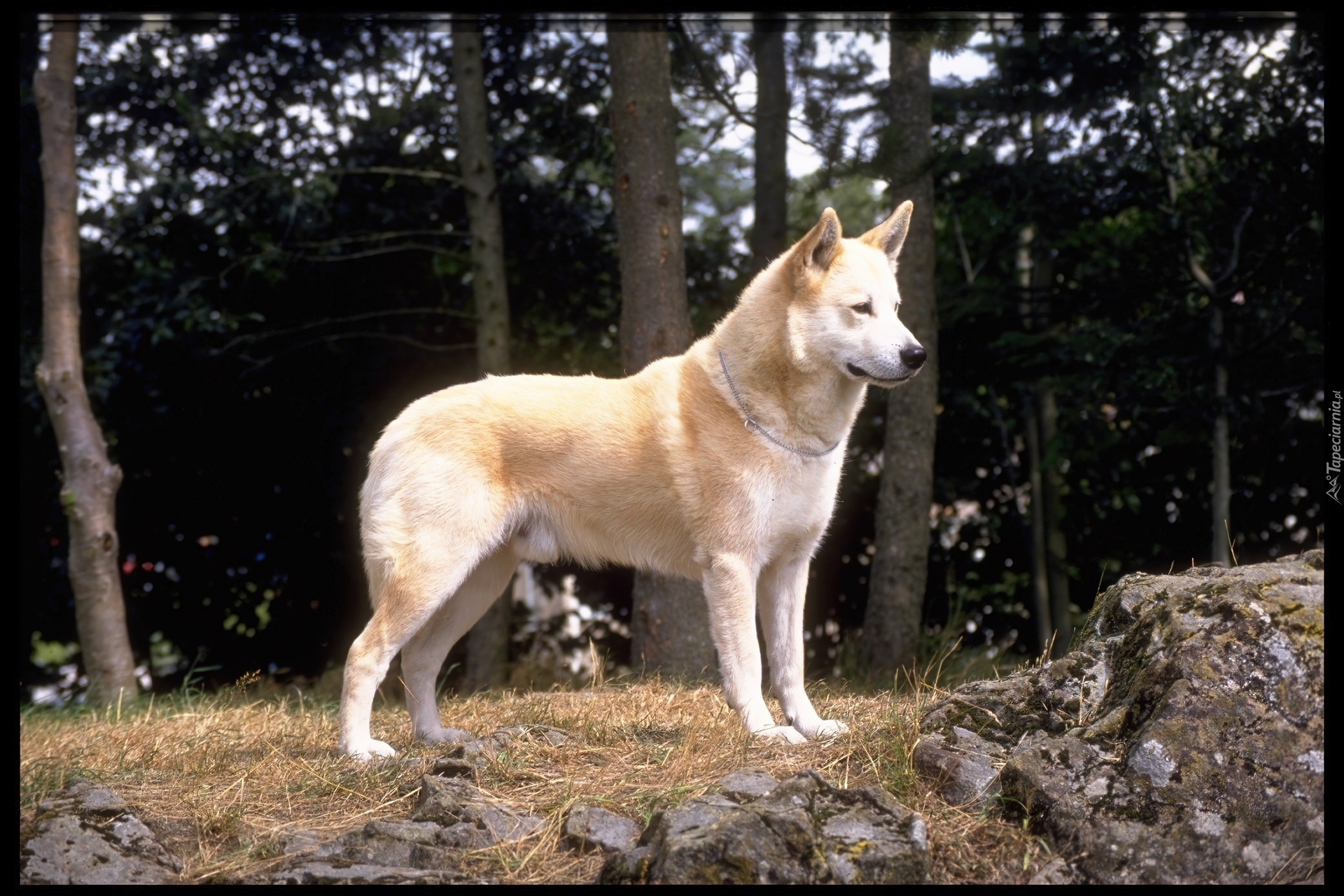 Hokkaido, las