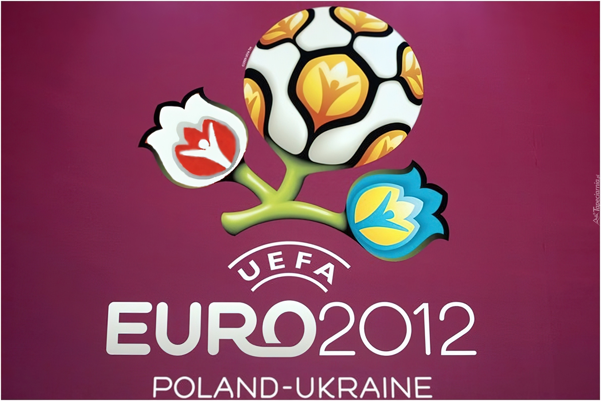 Euro 2012