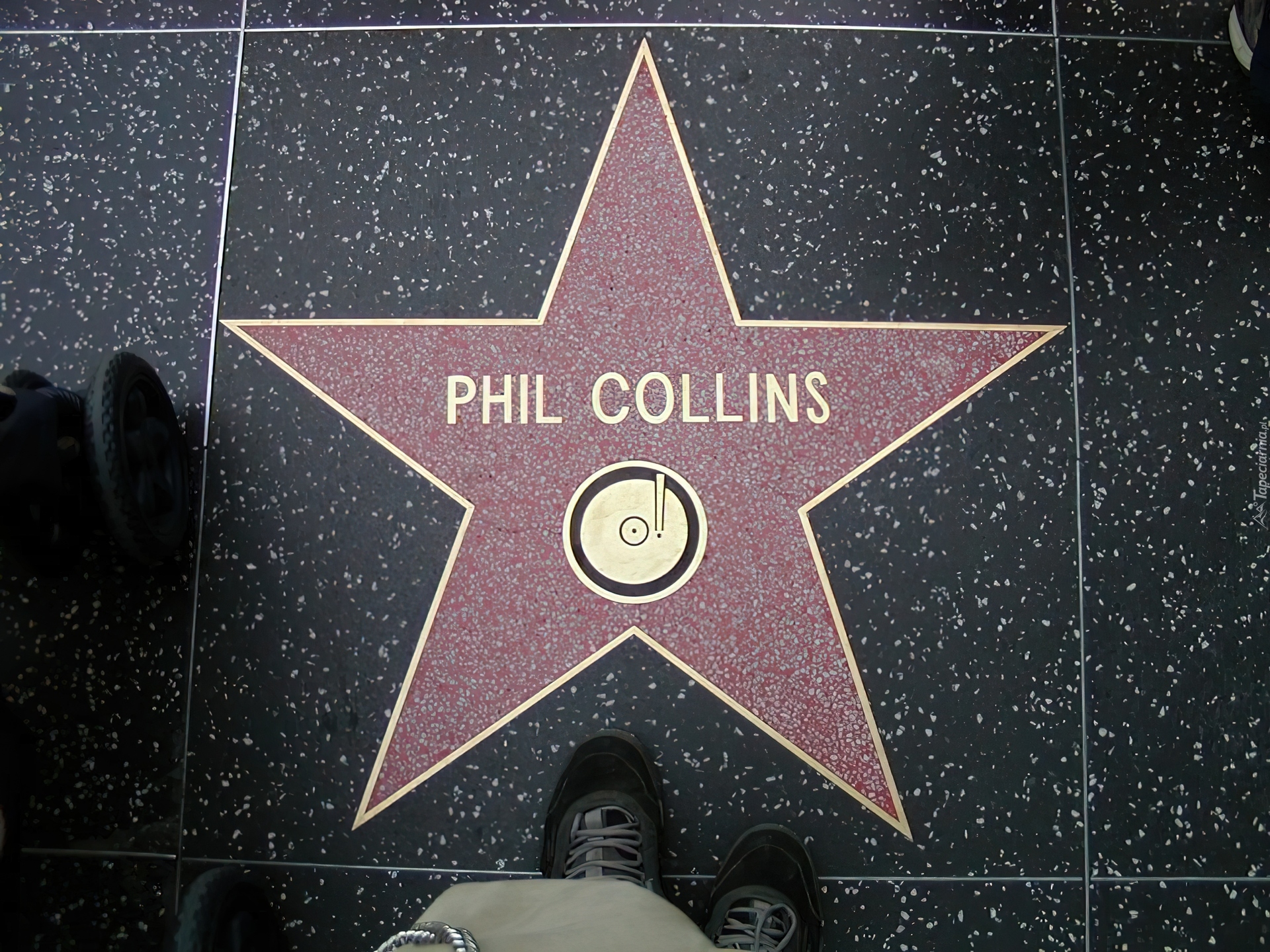 Phil Collins, Gwiazda