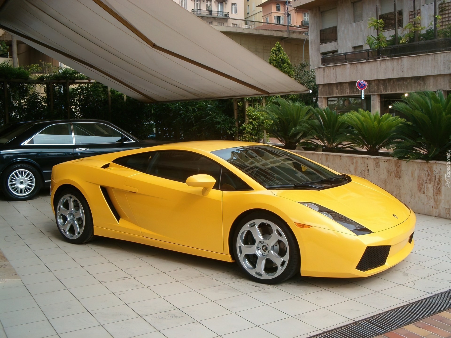 Żółty, Lamborghini Gallardo