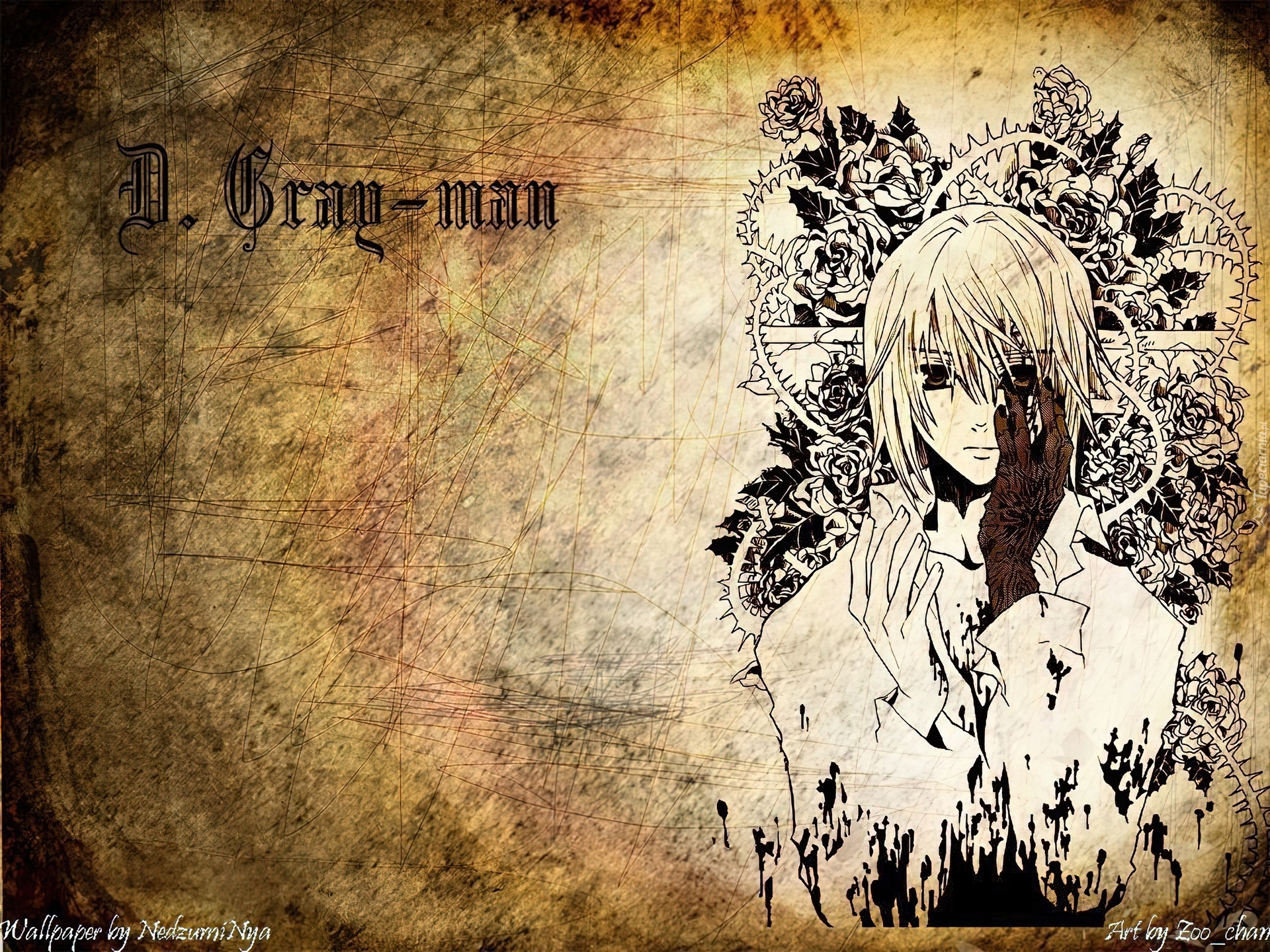 D.Gray-Man, Allen