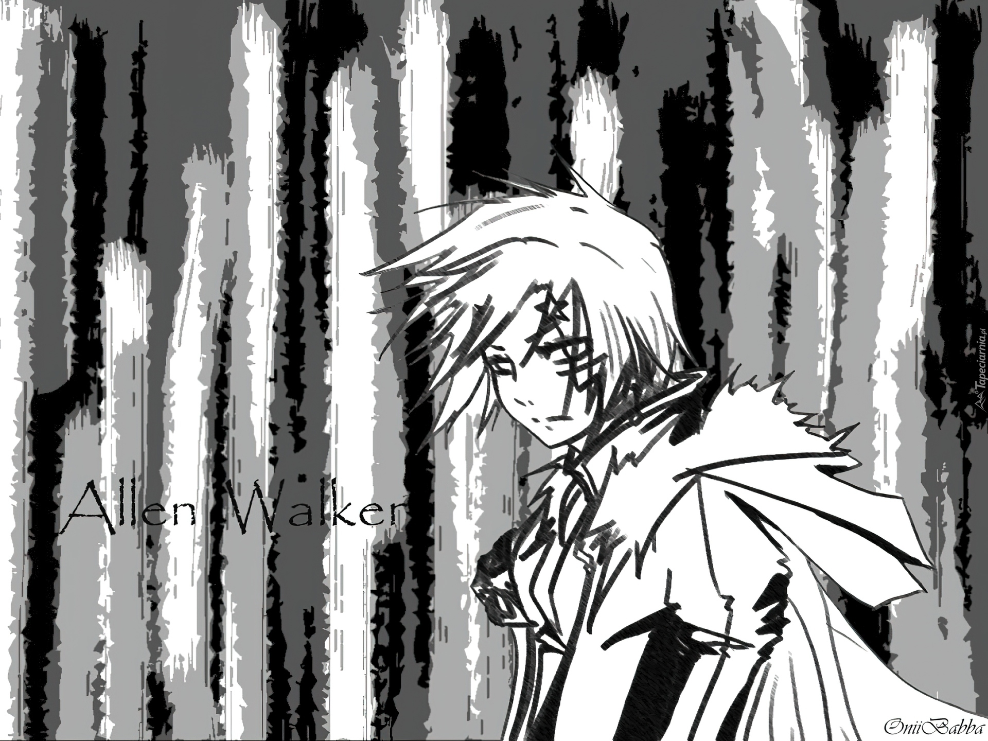 Allen Walker, D.Gray-Man