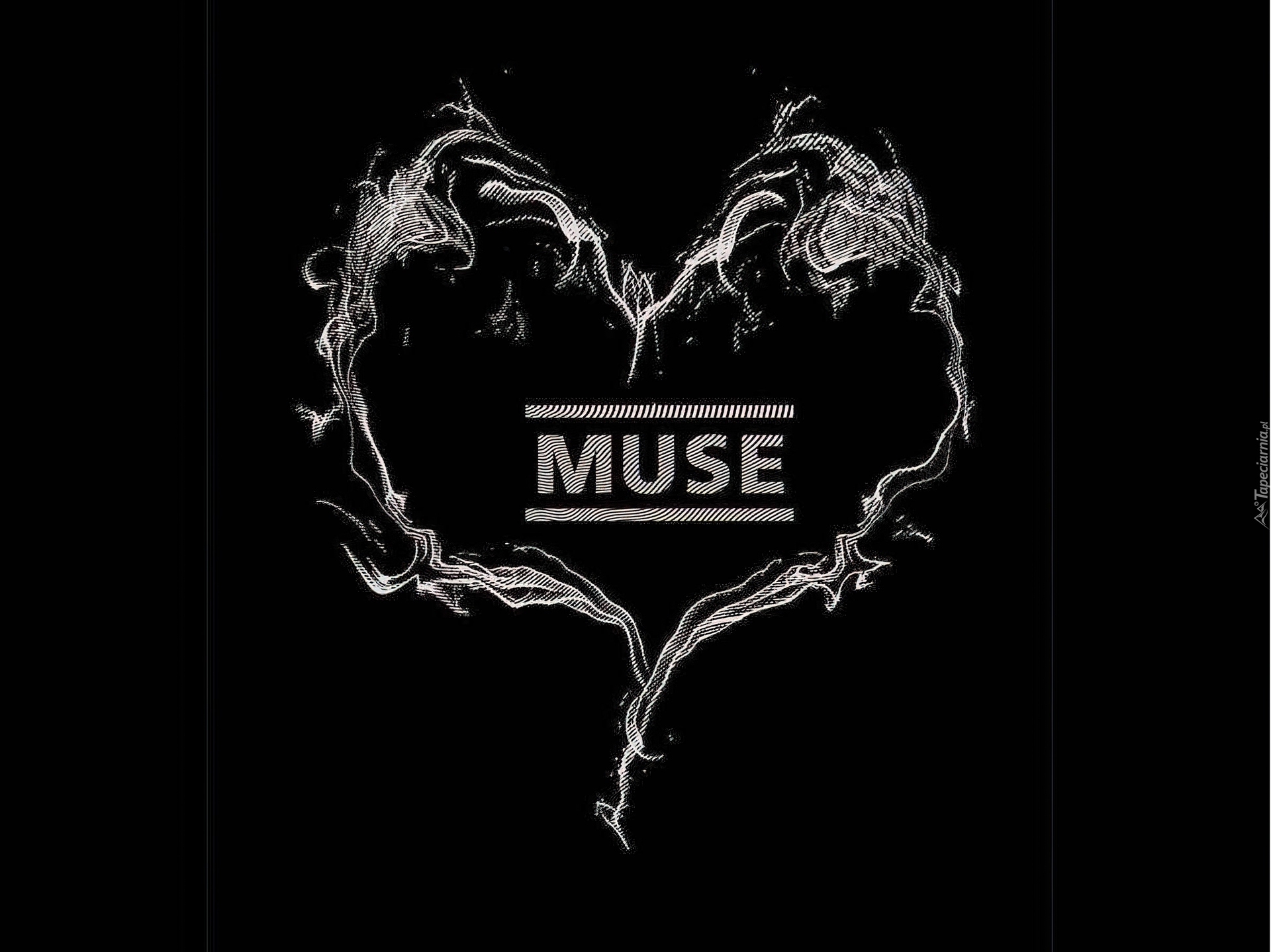 Muse