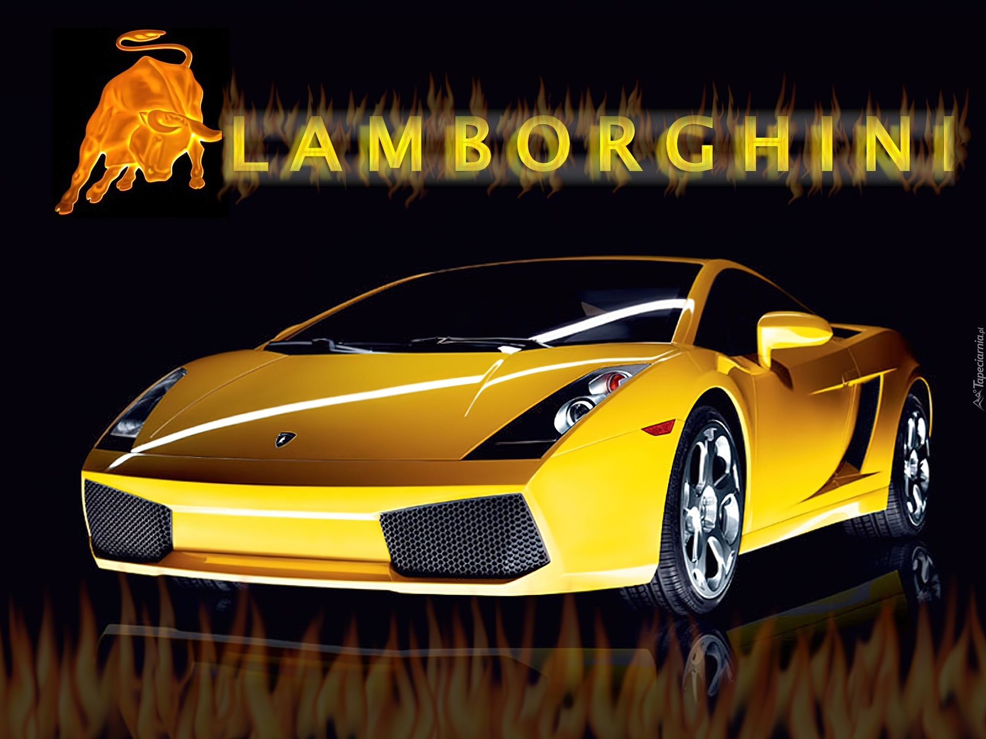 Lamborghini Gallardo, Byk