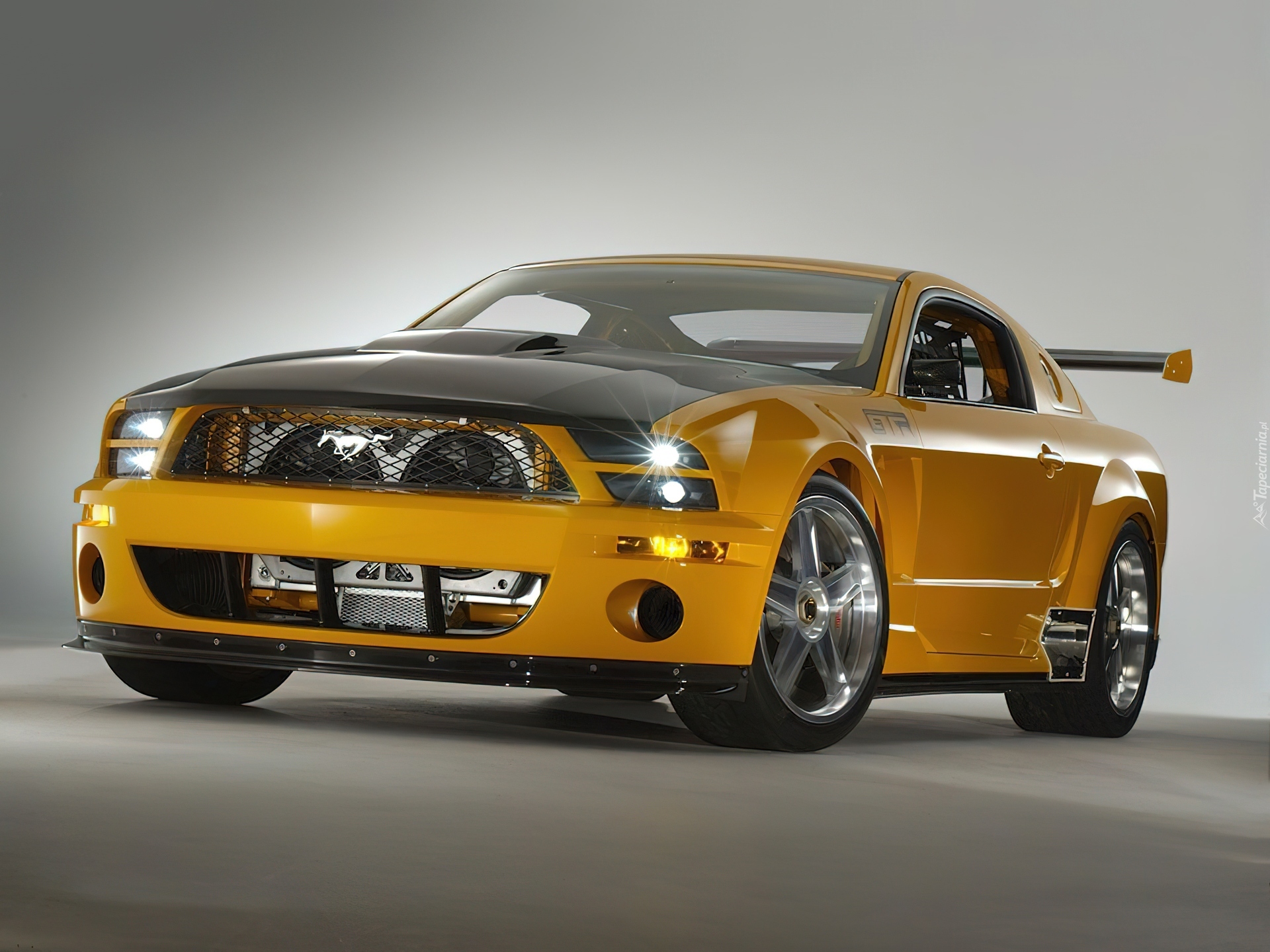 Shelby, GTR