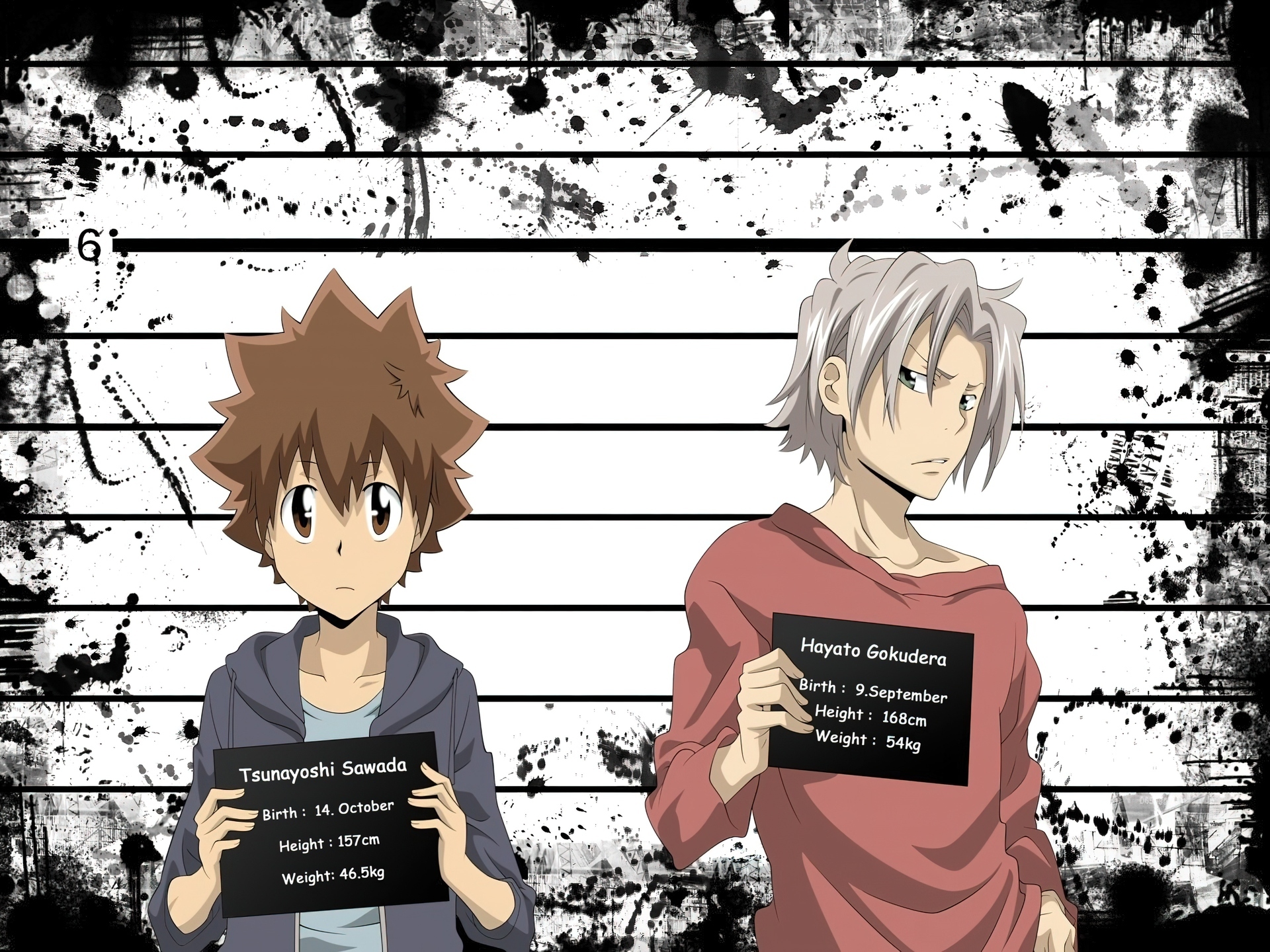 Katekyo Hitman Reborn, Tsunayoshi Sawada, Hayato Gokudera