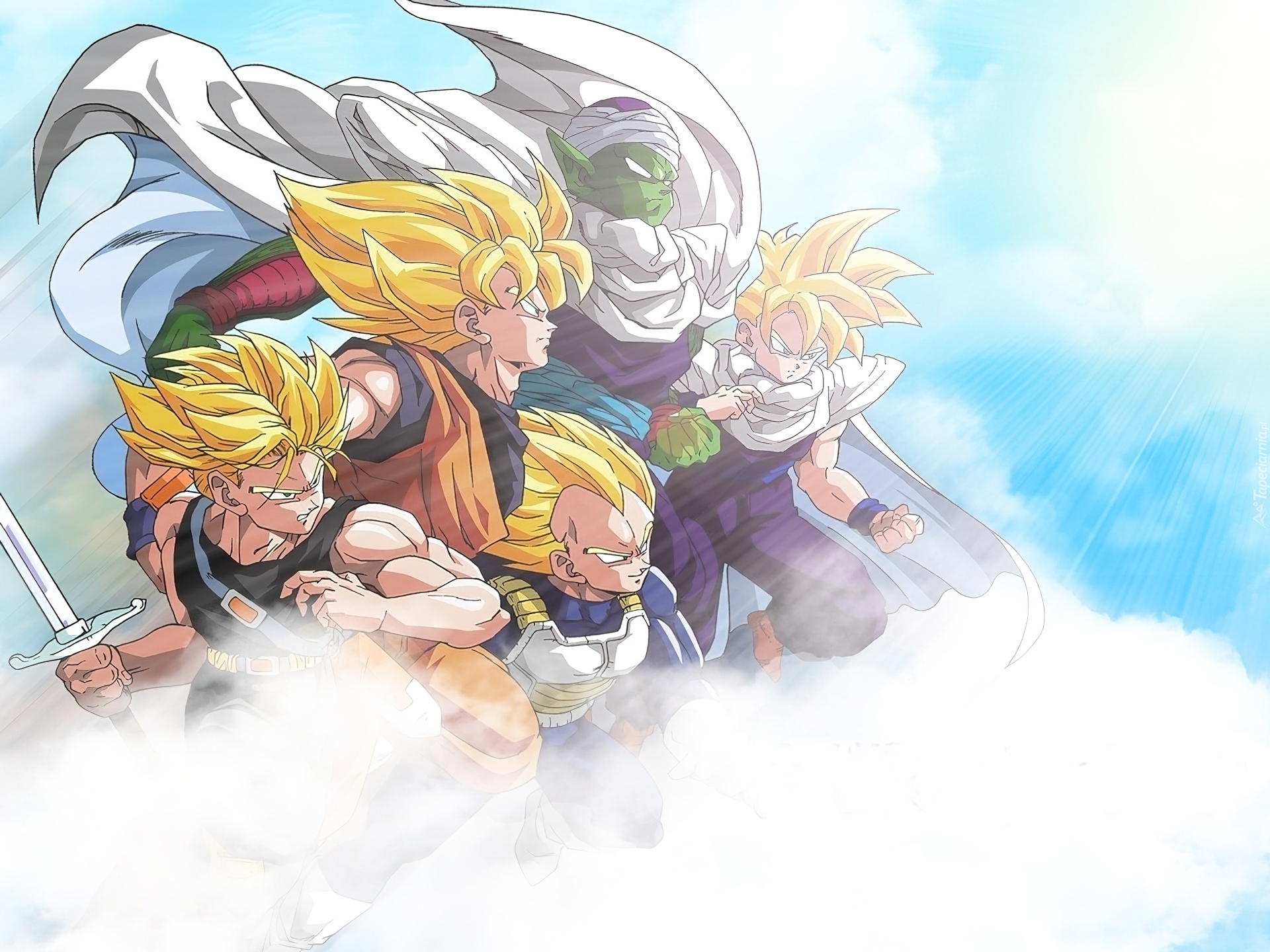 Piccolo, Son Goku, Vegeta, Trunk, Son Gohan